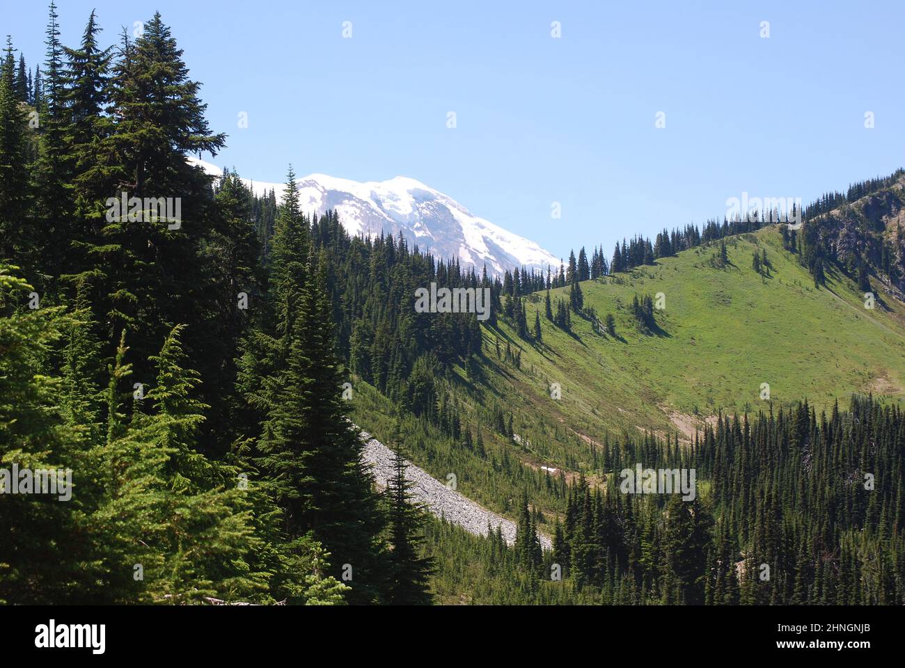 Mt. Rainier National Park view Stock Photo