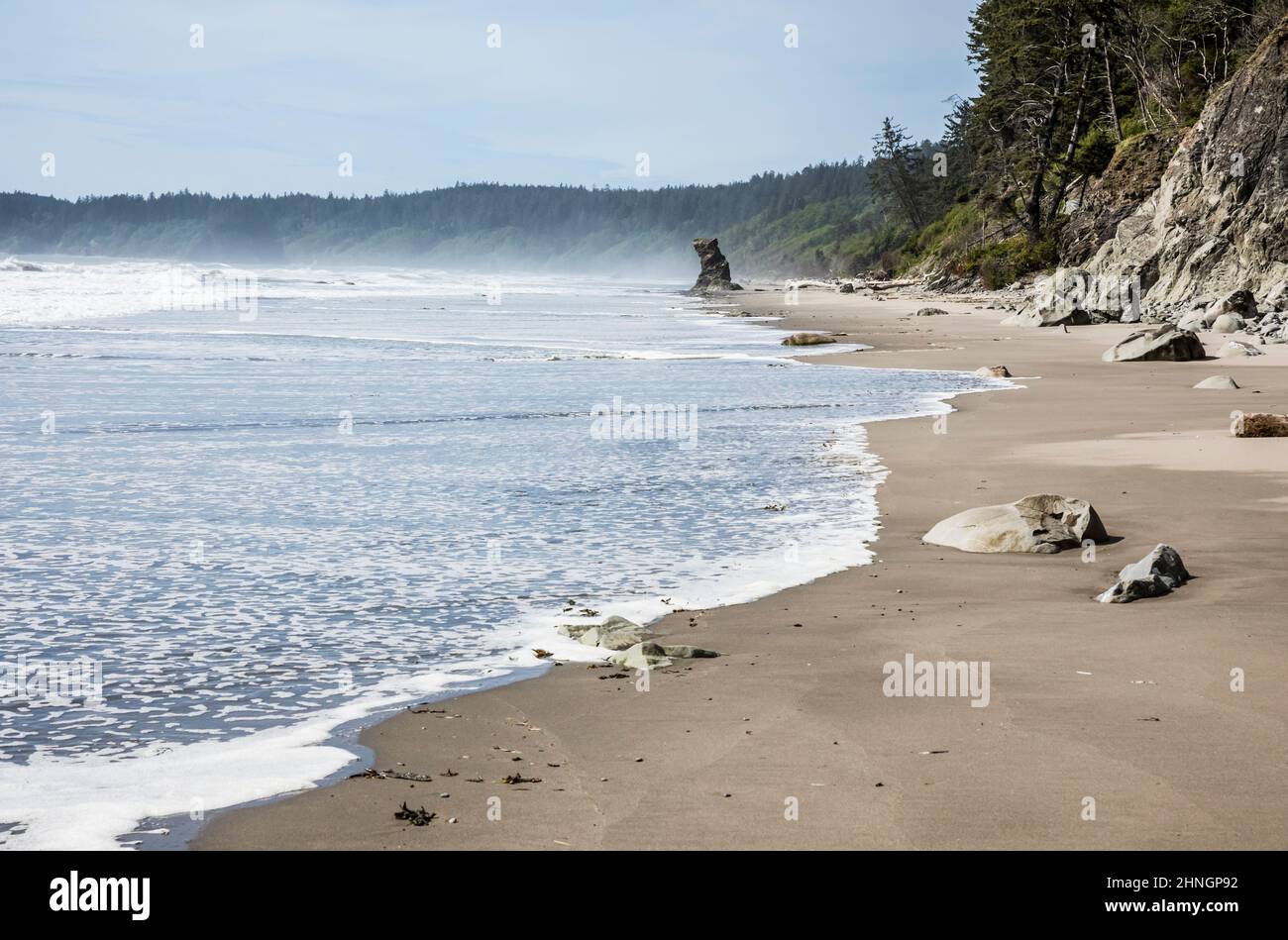 Along the Olympic National Park Coastal Strip and Olympic National Marine Sanctuary at Mosquito Creek Beach, Washington, USA. Stock Photo