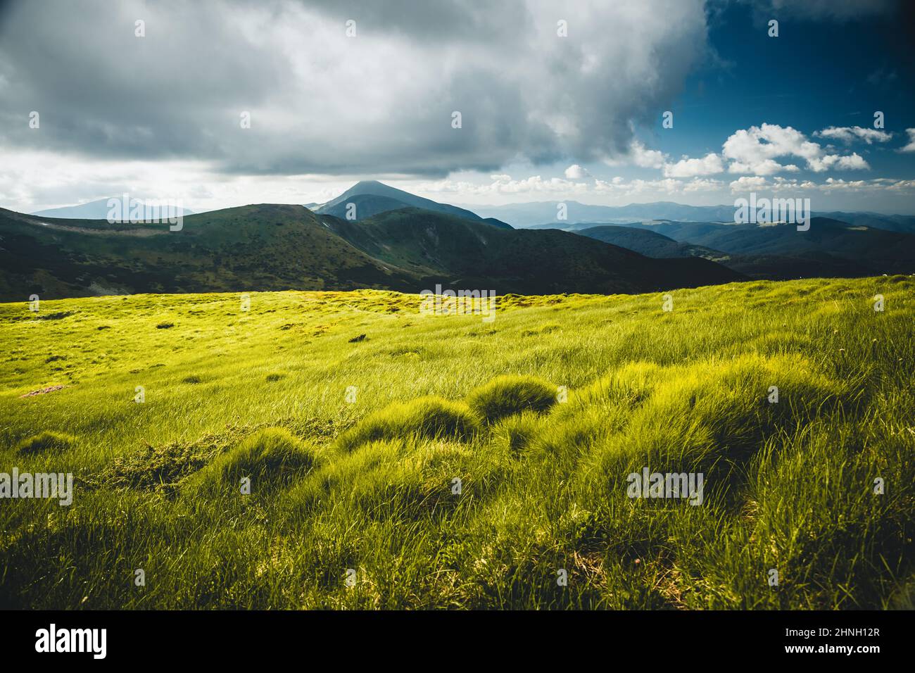 Summer scene of a green mountain range on a sunny day. Location place Carpathian mountains, Ukraine, Europe. Picturesque wallpaper. Photo filters, vin Stock Photo