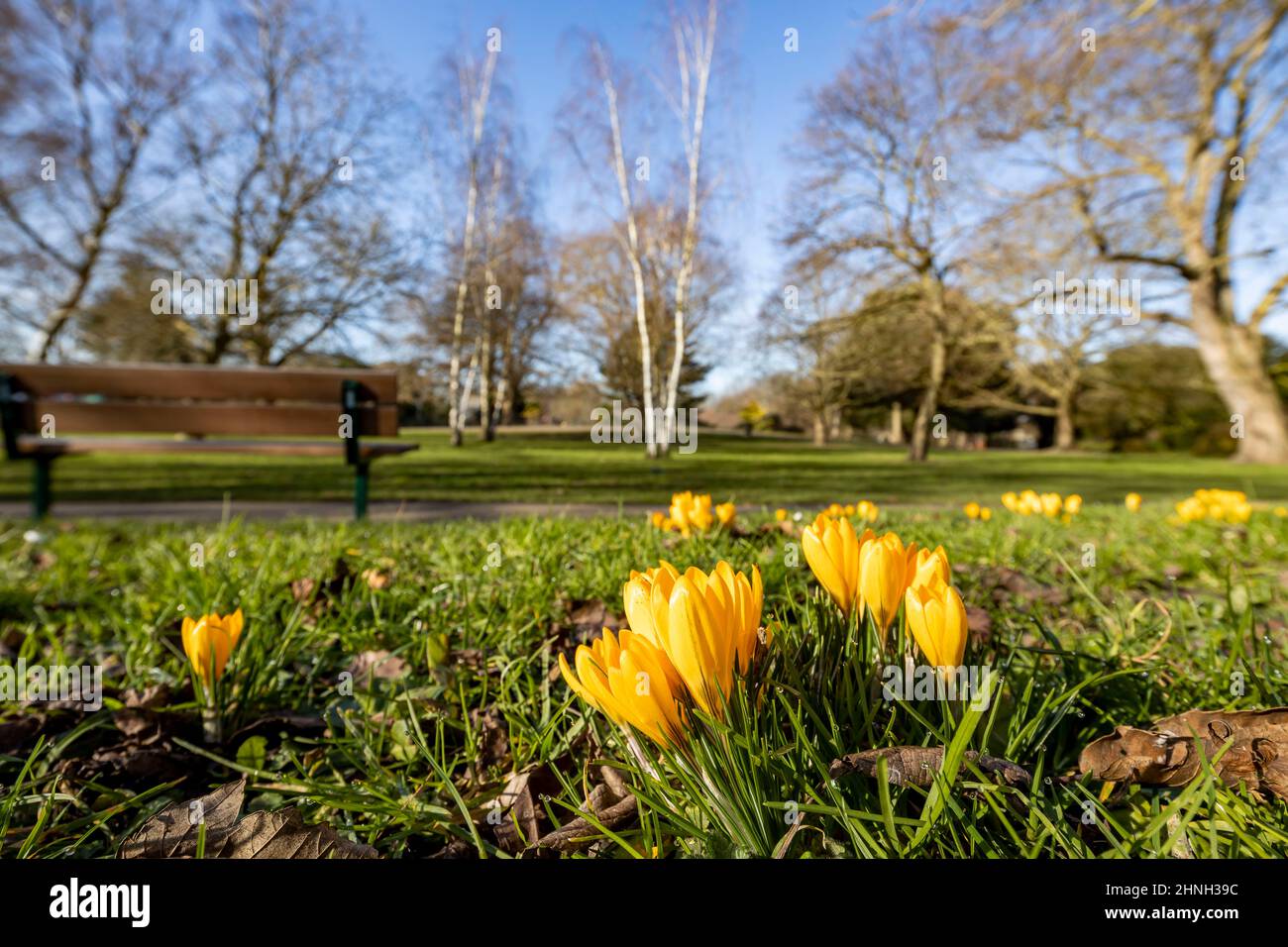 Hammersmith & Acton Vale Local Area Photography Stock Photo