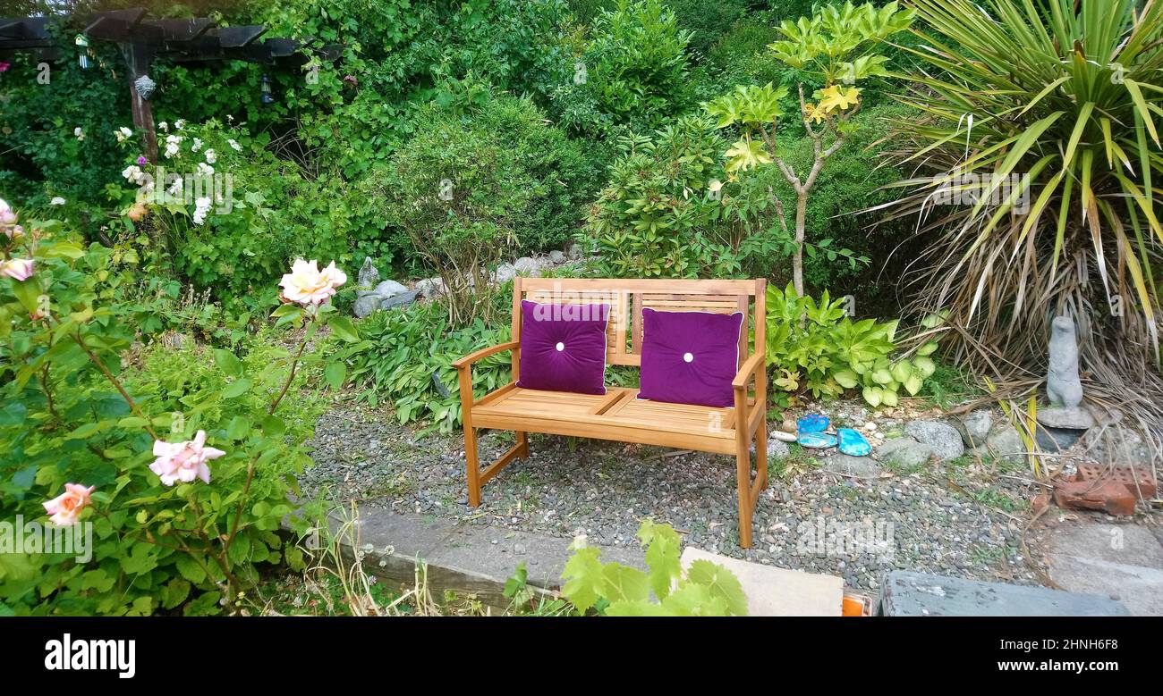 GULF STREAM - SCOTLAND. Garden bench near a palm tree in Scottish private household garden with a  sub tropical plants. Due to the close proximity of the Gulf Stream  and other warm currents, South Western Scotland has mild winters compared to the rest of country. Many semi-tropical plants are able to overwinter and thrive in summer. A number of public gardens in the area  also have fine examples of palm trees and other unusual exotic plants. Logan Botanic Garden in Galloway  for example grows  plants that won't   survive elsewhere in Scotland Stock Photo