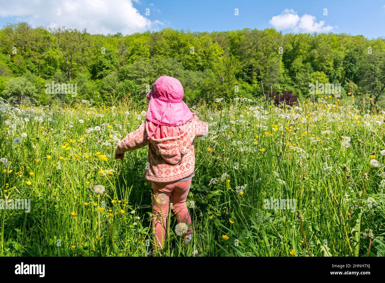 Young happy child walking through flower meadow in spring on a sunny day Stock Photo