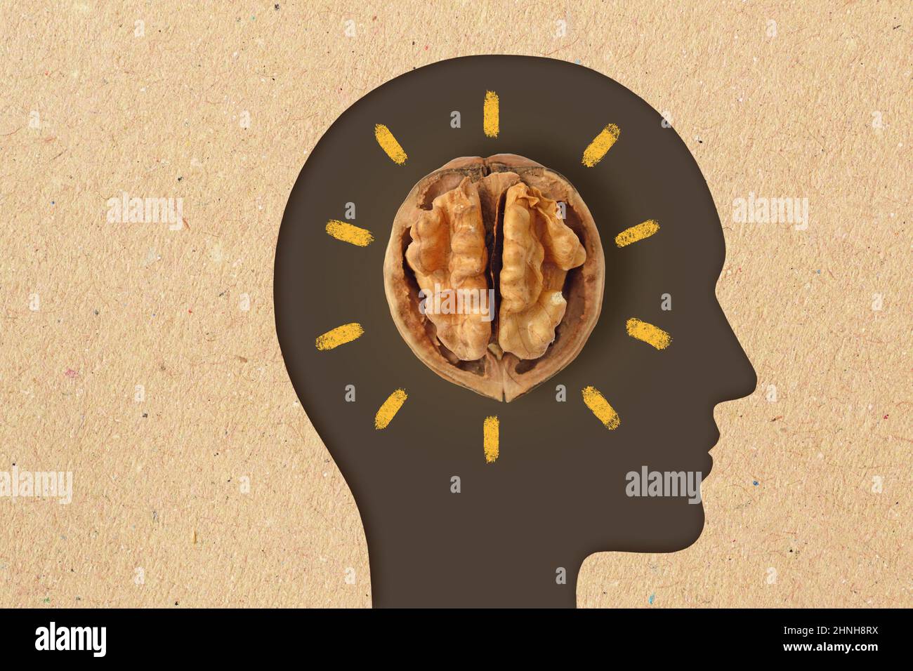 Man head silhouette with walnut - Walnuts are good for brain Stock Photo