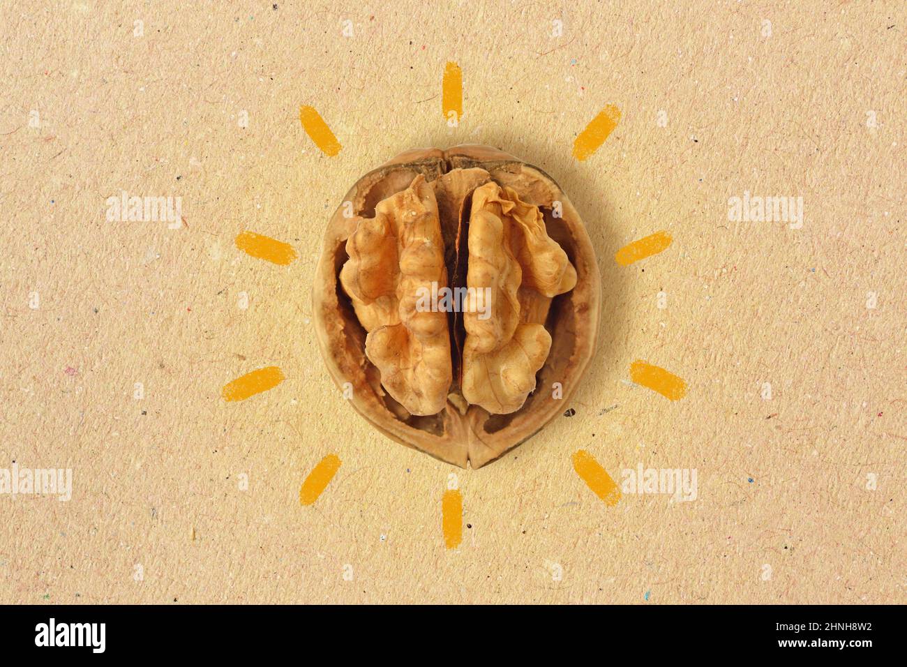 Walnut on recycled paper background - Walnuts are good for brain Stock Photo