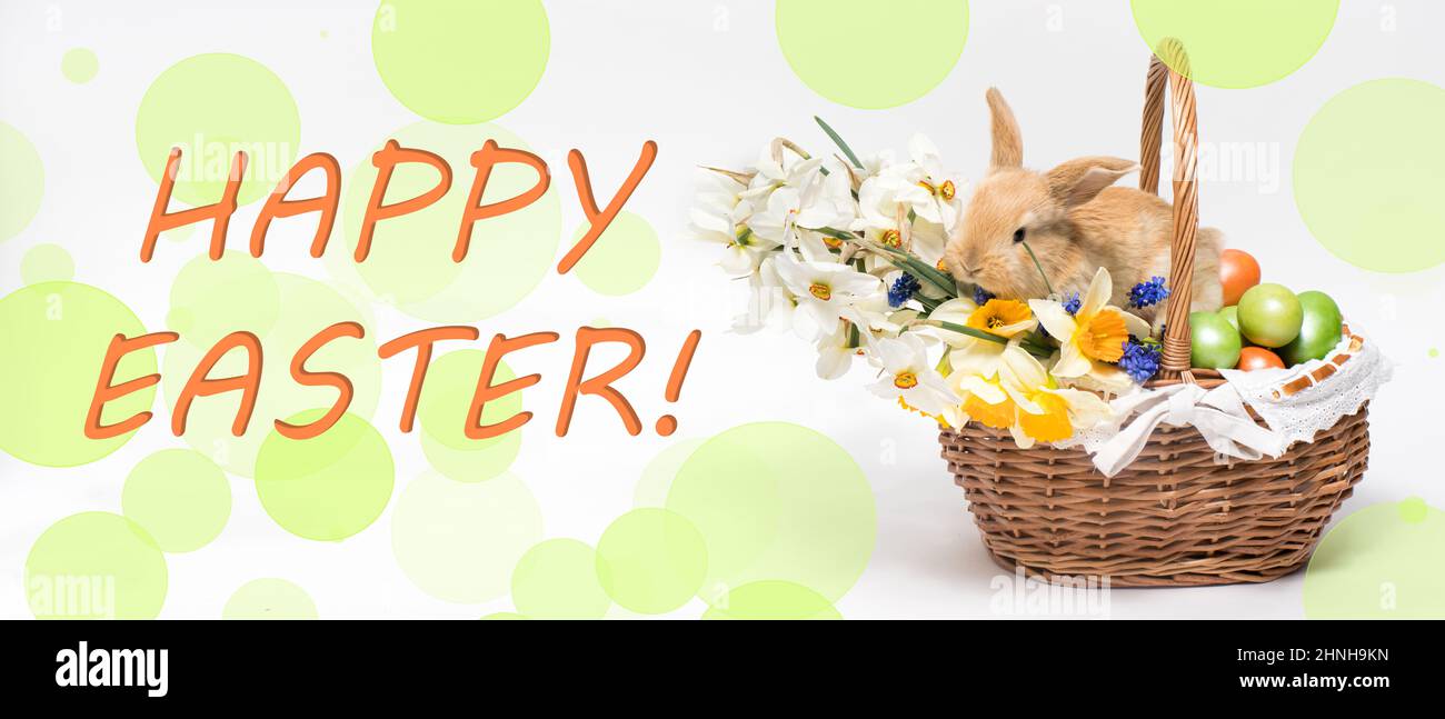 A long banner with the text Happy Easter with a beautiful little rabbit in a basket and painted eggs. Stock Photo