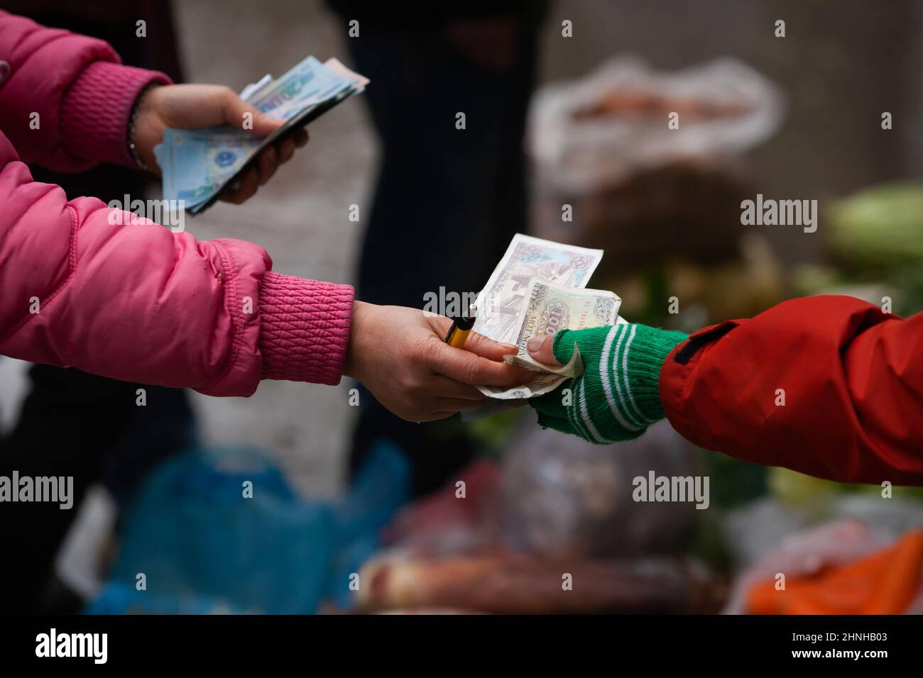 Vietnamese women vendor counting Vietnamese Dong at a local wet market in Sa Pa, top tourist attractions in Vietnam. Stock Photo