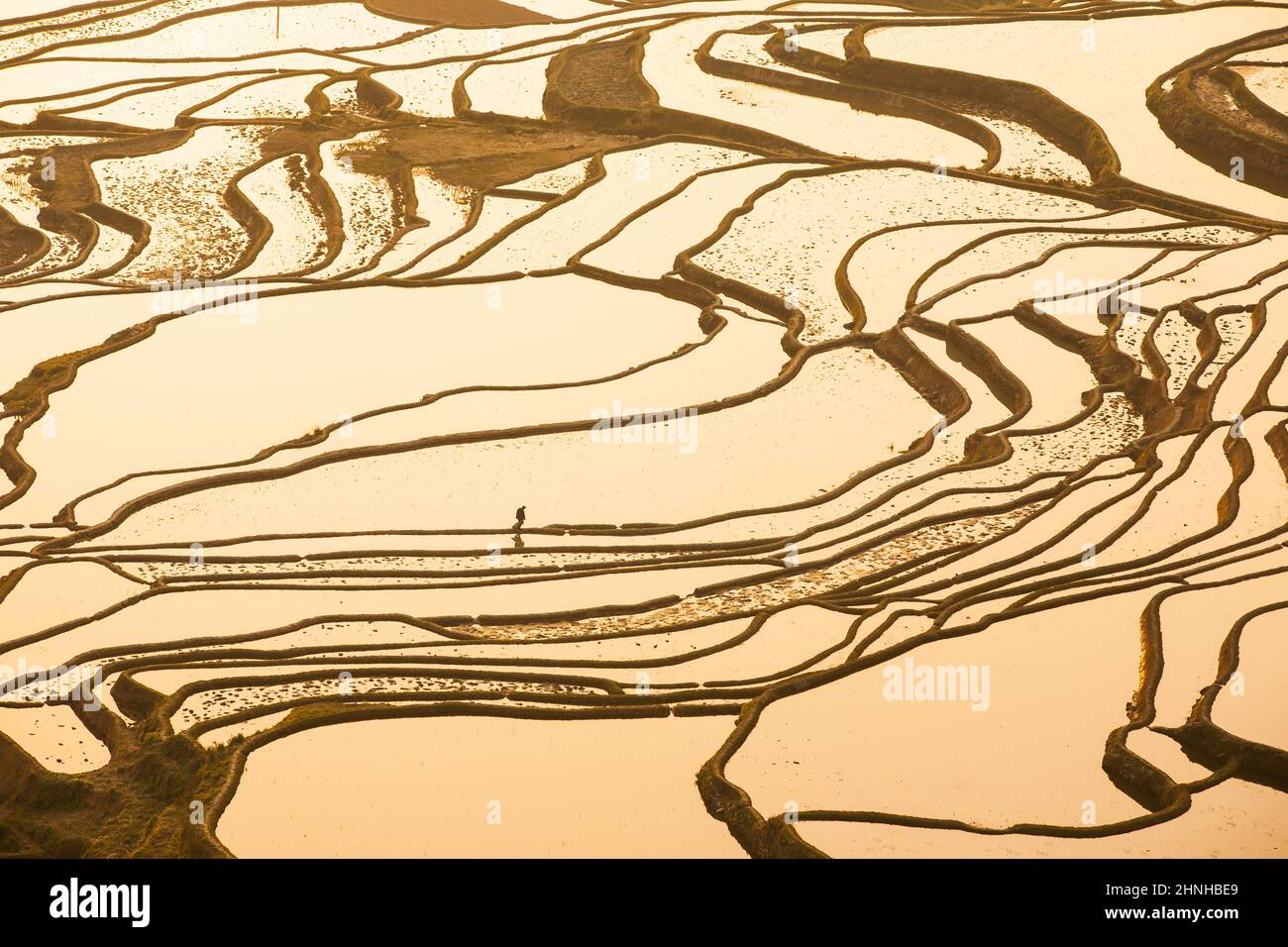 Aerial view of Yuanyang rice terraces, Chinese farmer working on the ...