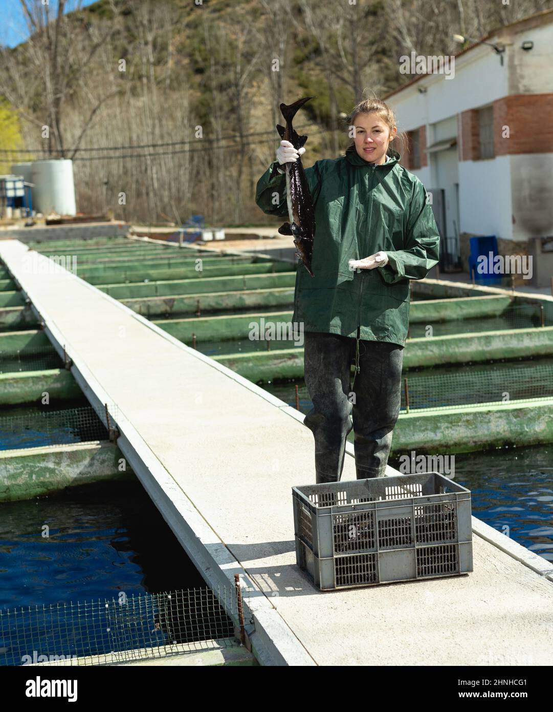 Female owner of sturgeon farm showing fish Stock Photo Alamy