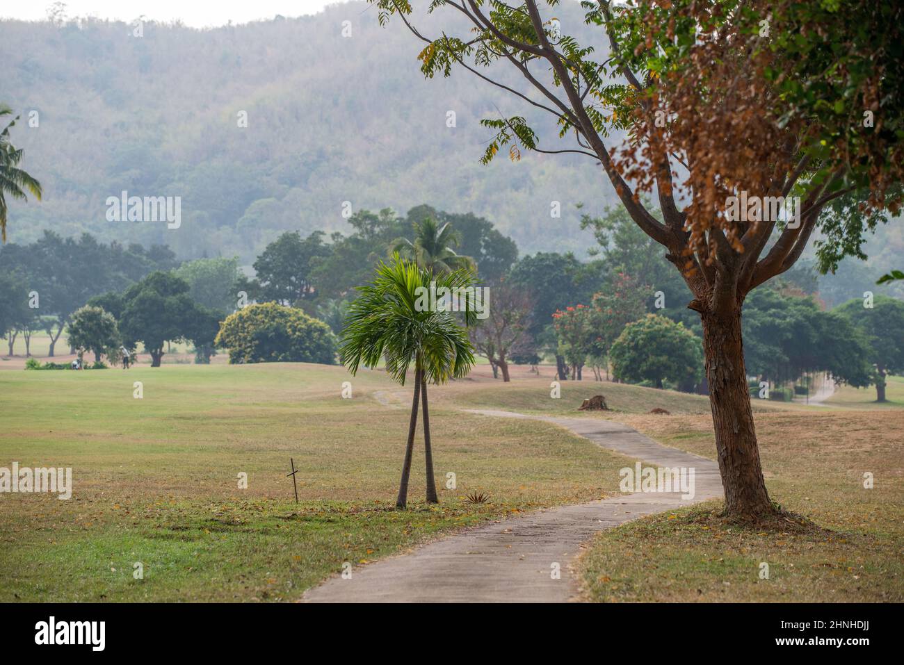 Many expats are golfers and choose to live in Hua Hin. Hua Hin has many