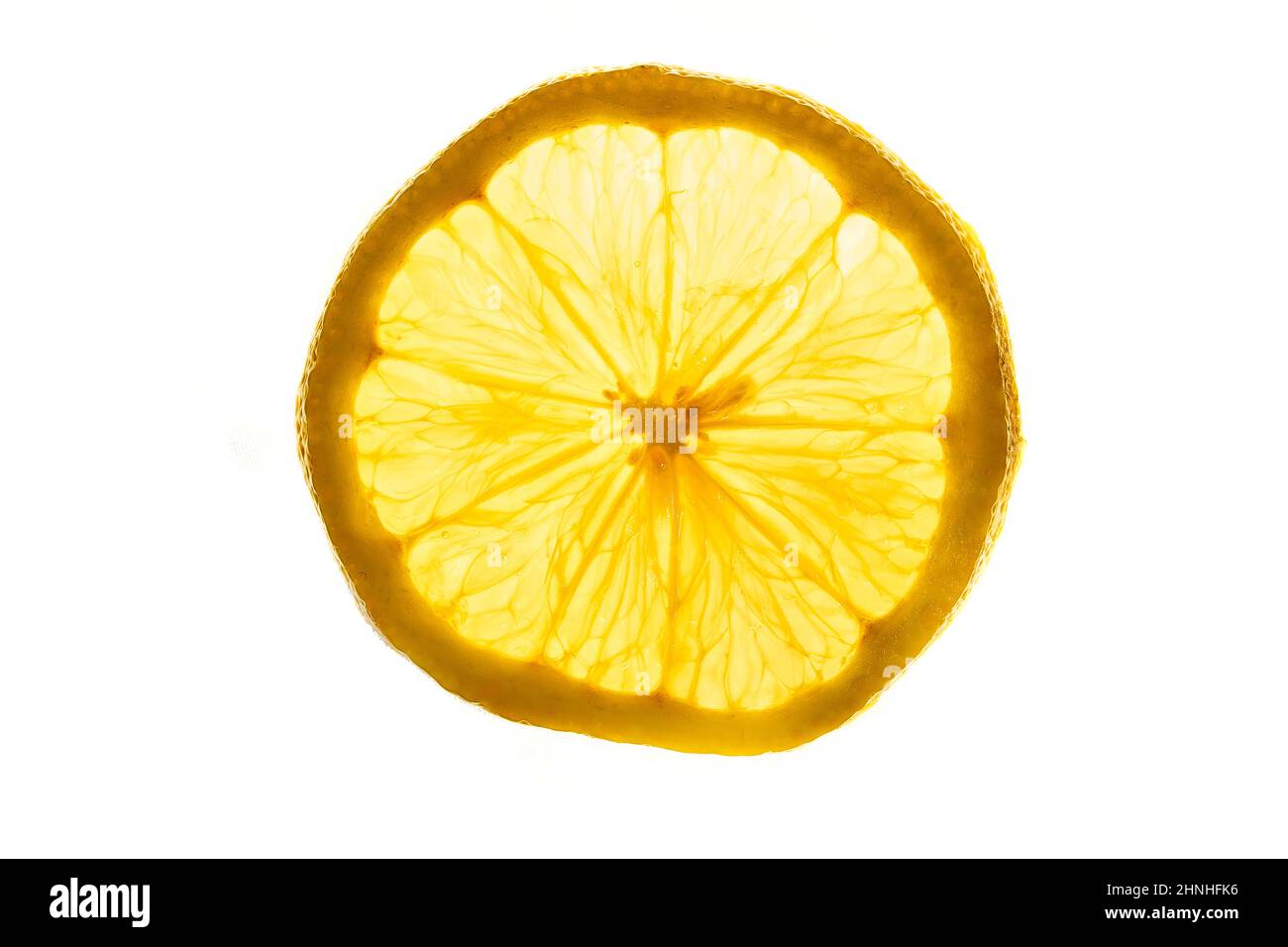 Close-up of a round slice of lemon on a white isolated background ...