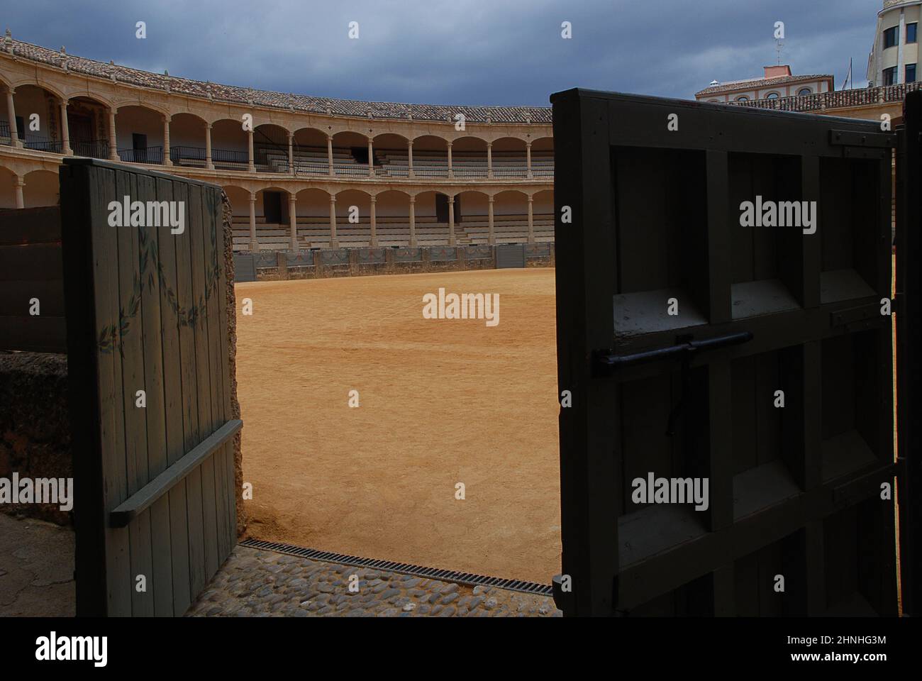 Iberian bull hi-res stock photography and images - Alamy