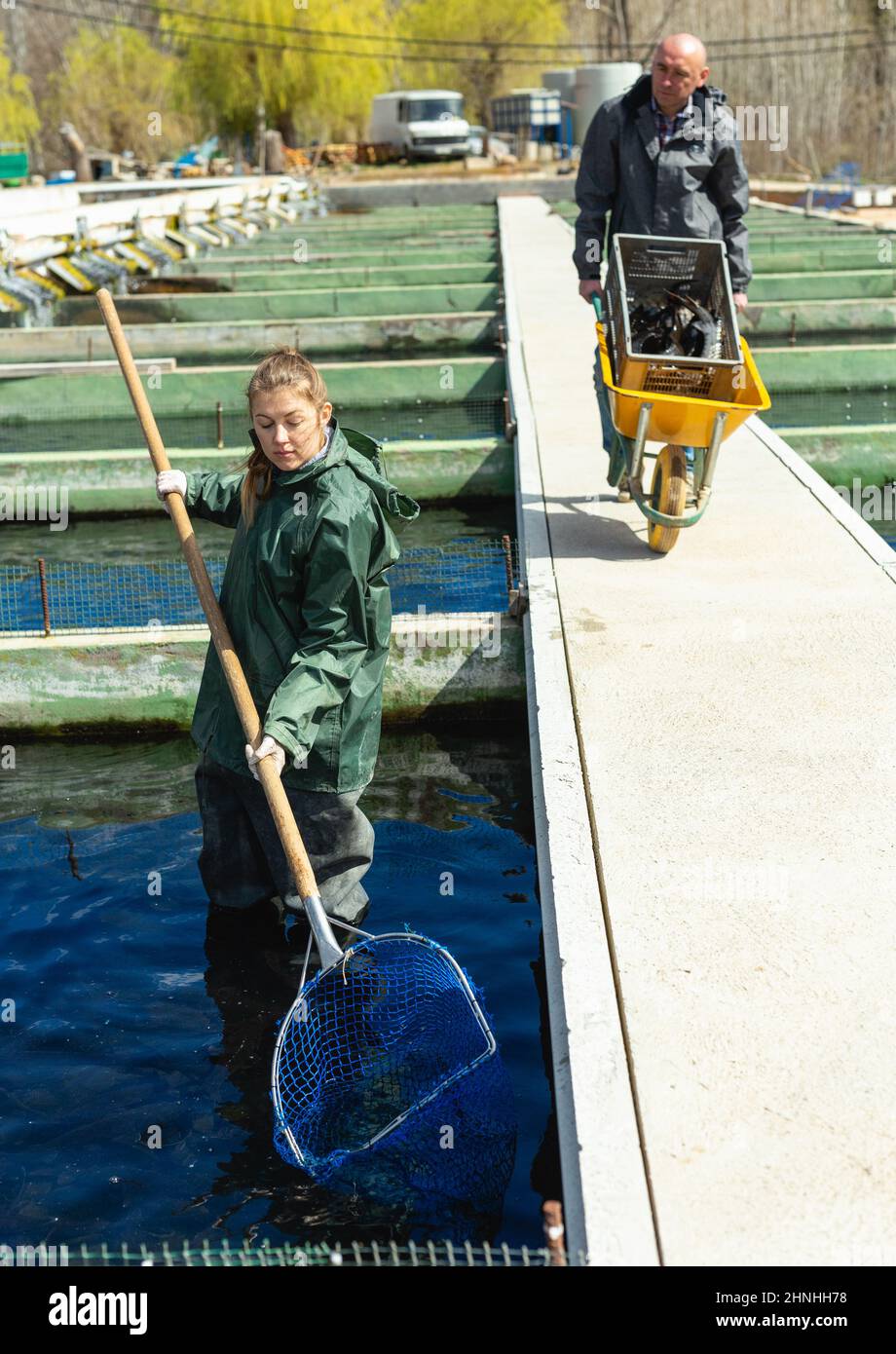 Man and woman catching sturgeon Stock Photo Alamy