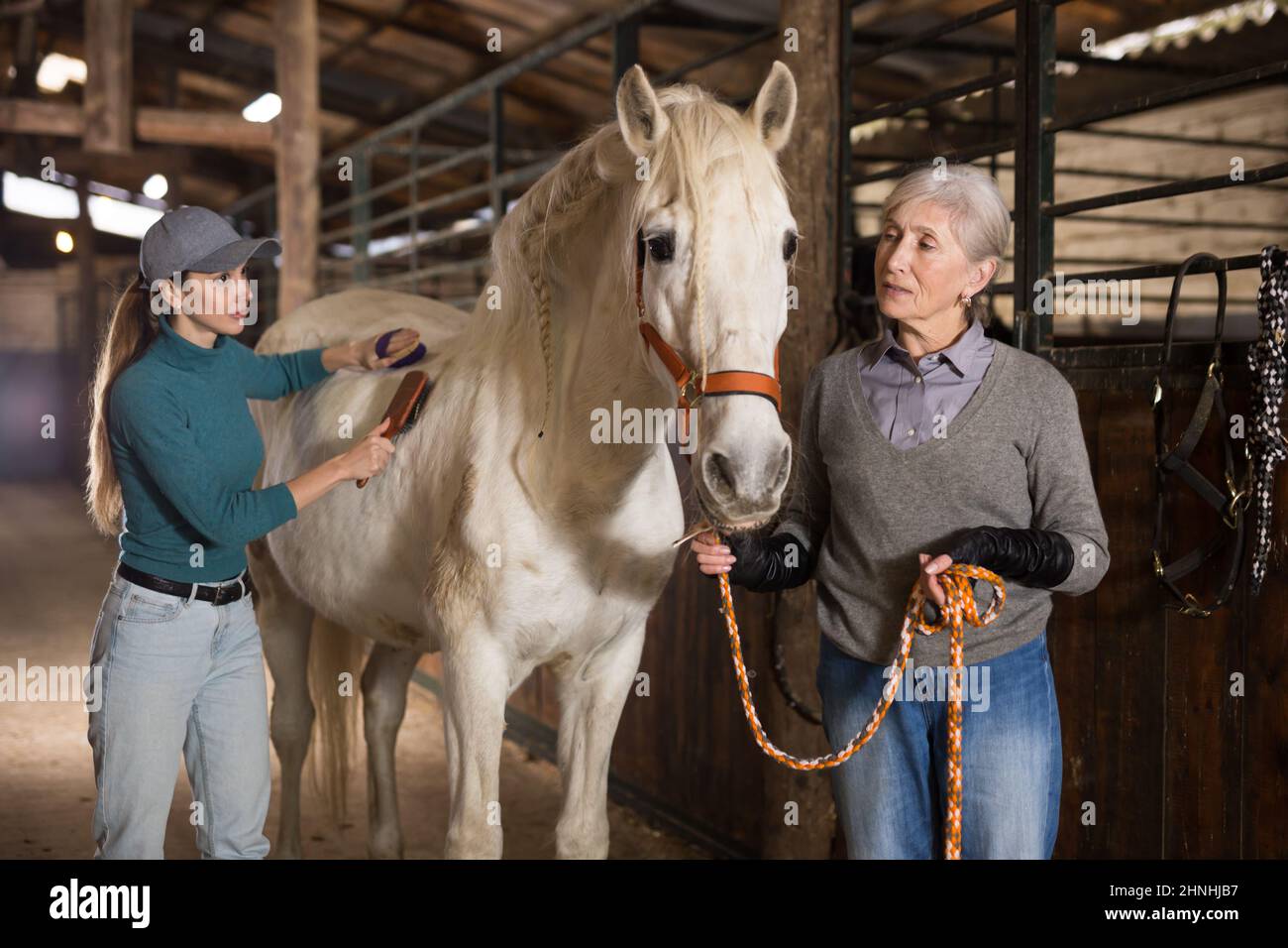 Hold horses