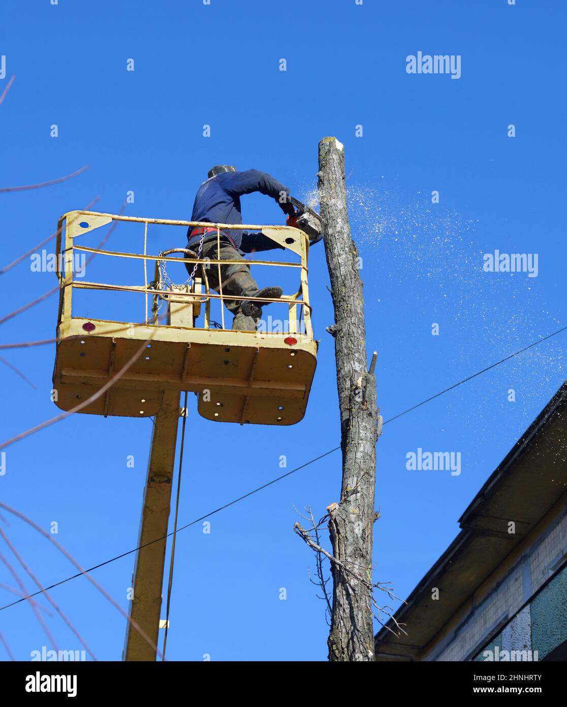 Municipal worker cutting dead standing tree with chainsaw using truck-mounted lift Stock Photo