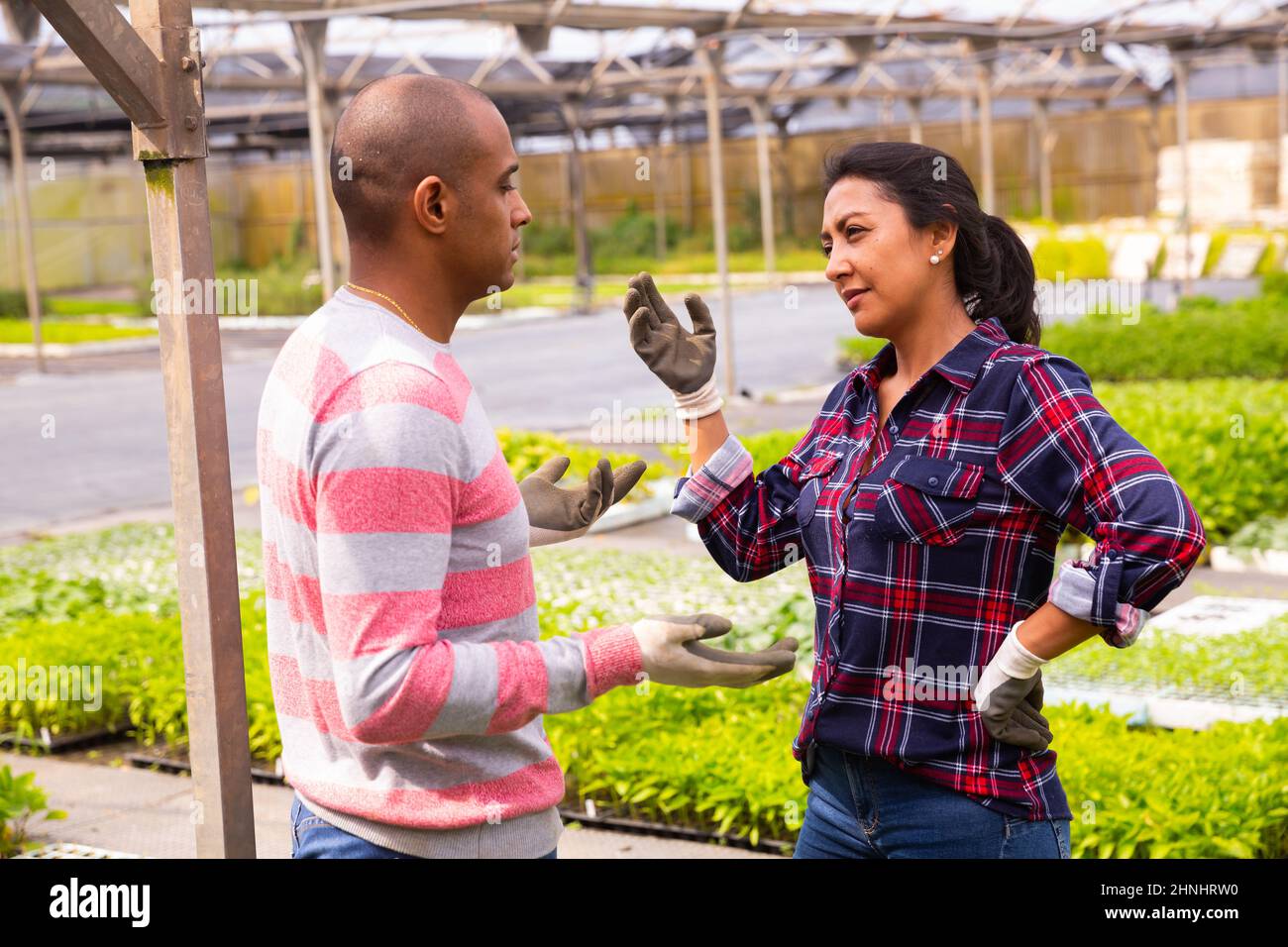 Two latino garden workers discussing working process Stock Photo