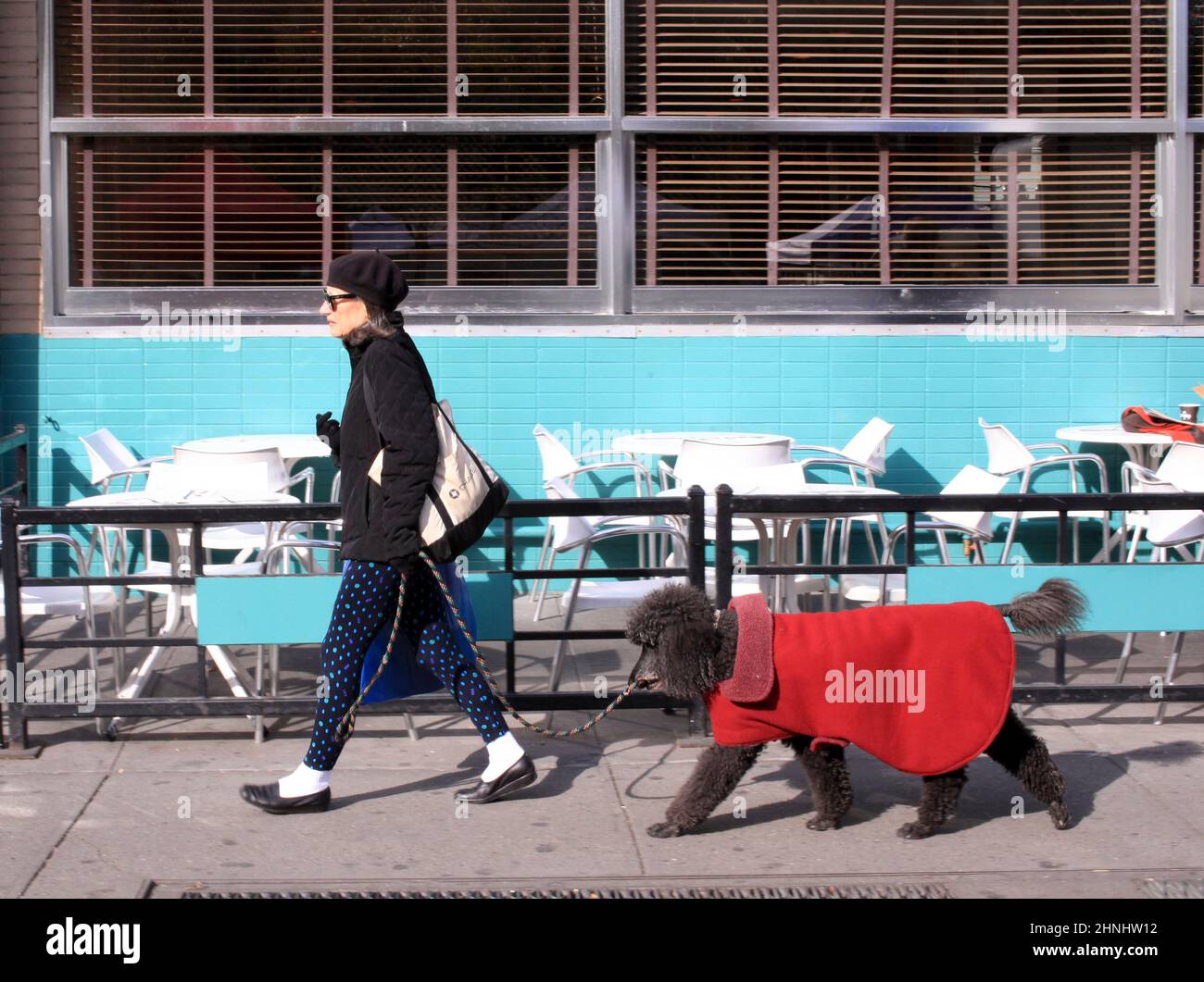 Dogs in New York in 2000s Stock Photo Alamy