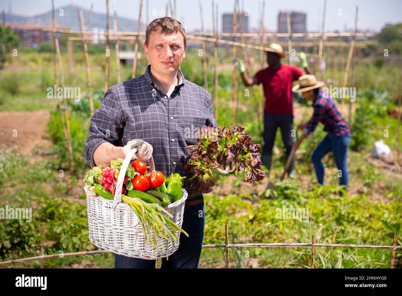 Happy farmer with basket of vegetables in the garden Stock Photo - Alamy