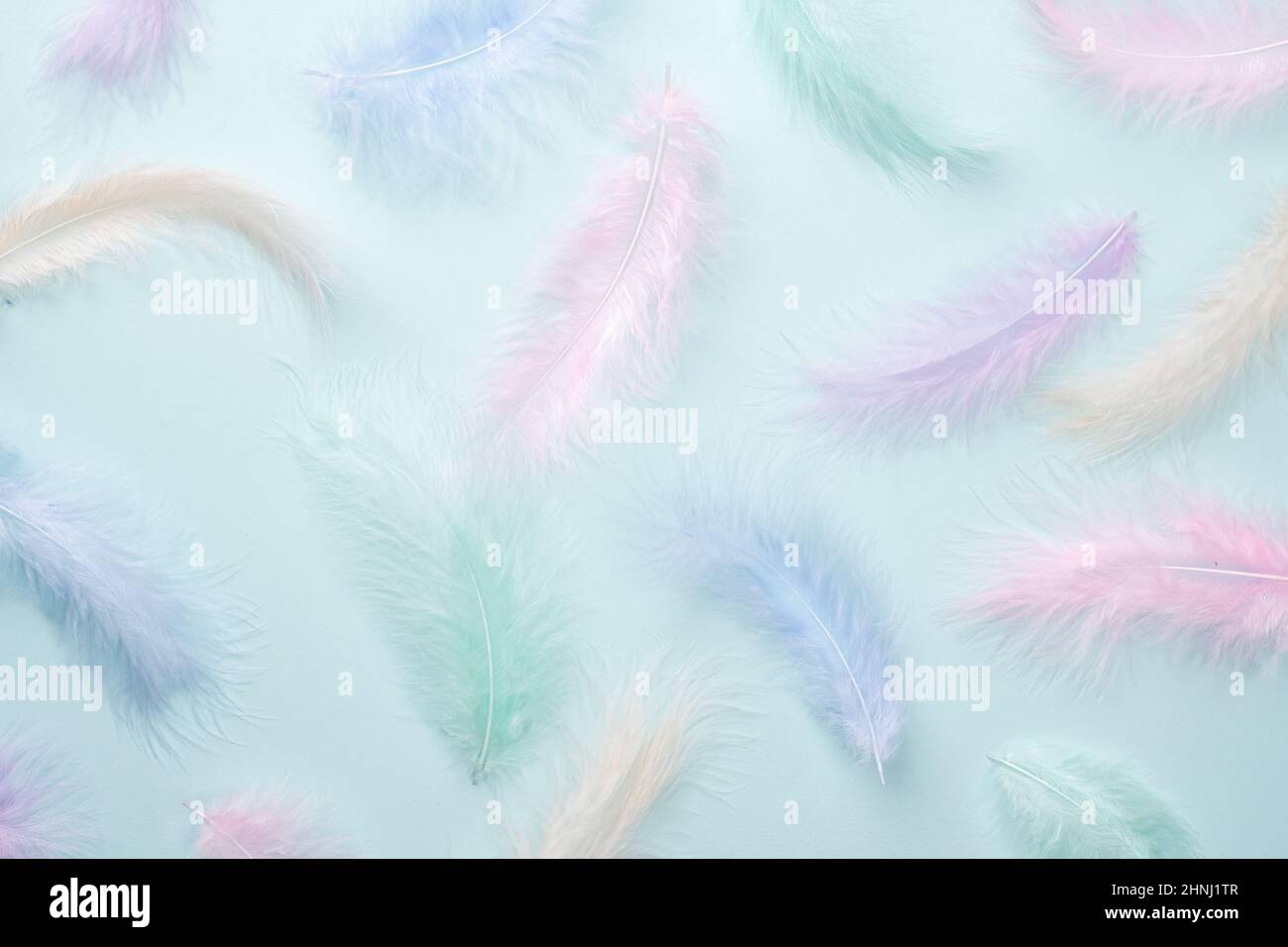 Feathers multicolored background in pastel colors. Feathers pattern. Natural pastel feathers in muted colors. Beautiful feathers surface. Feather wall Stock Photo