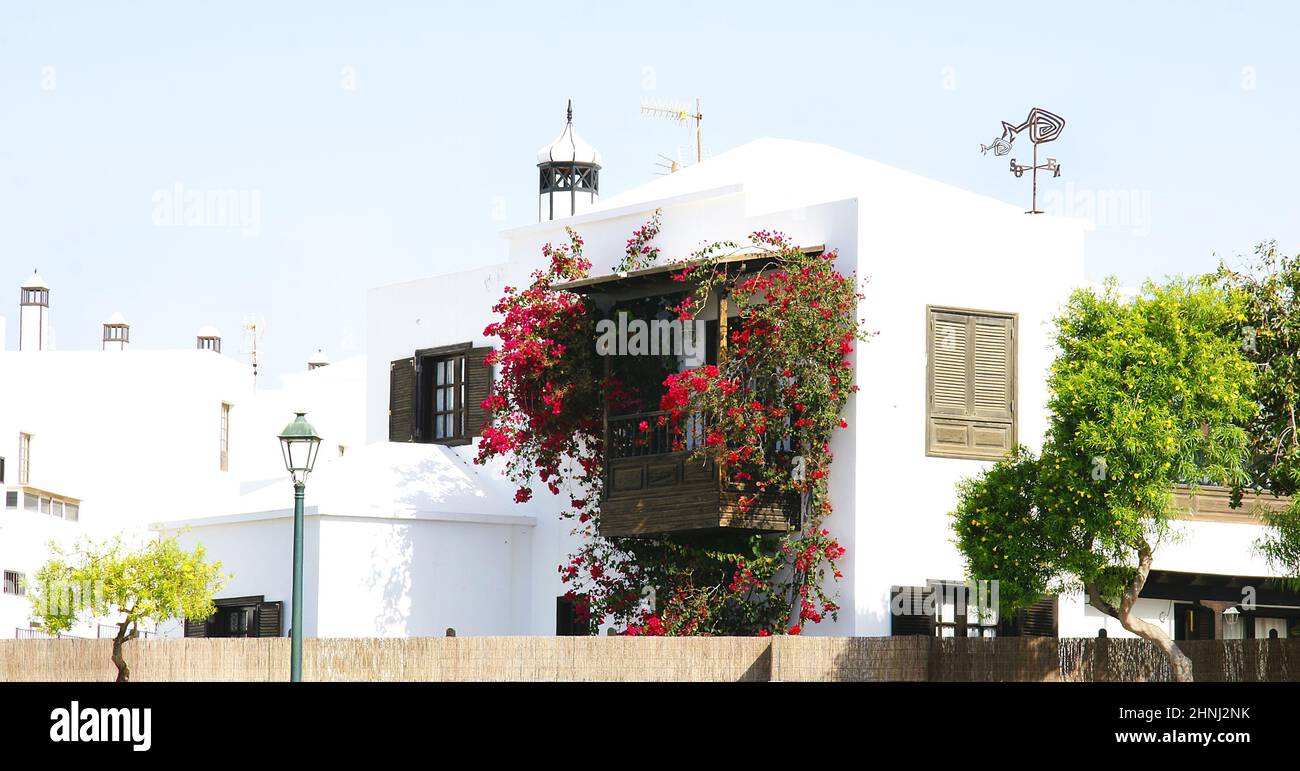 Terrace with flowers in a house in Arriate, Lanzarote, Canary Islands, Spain, Europe Stock Photo