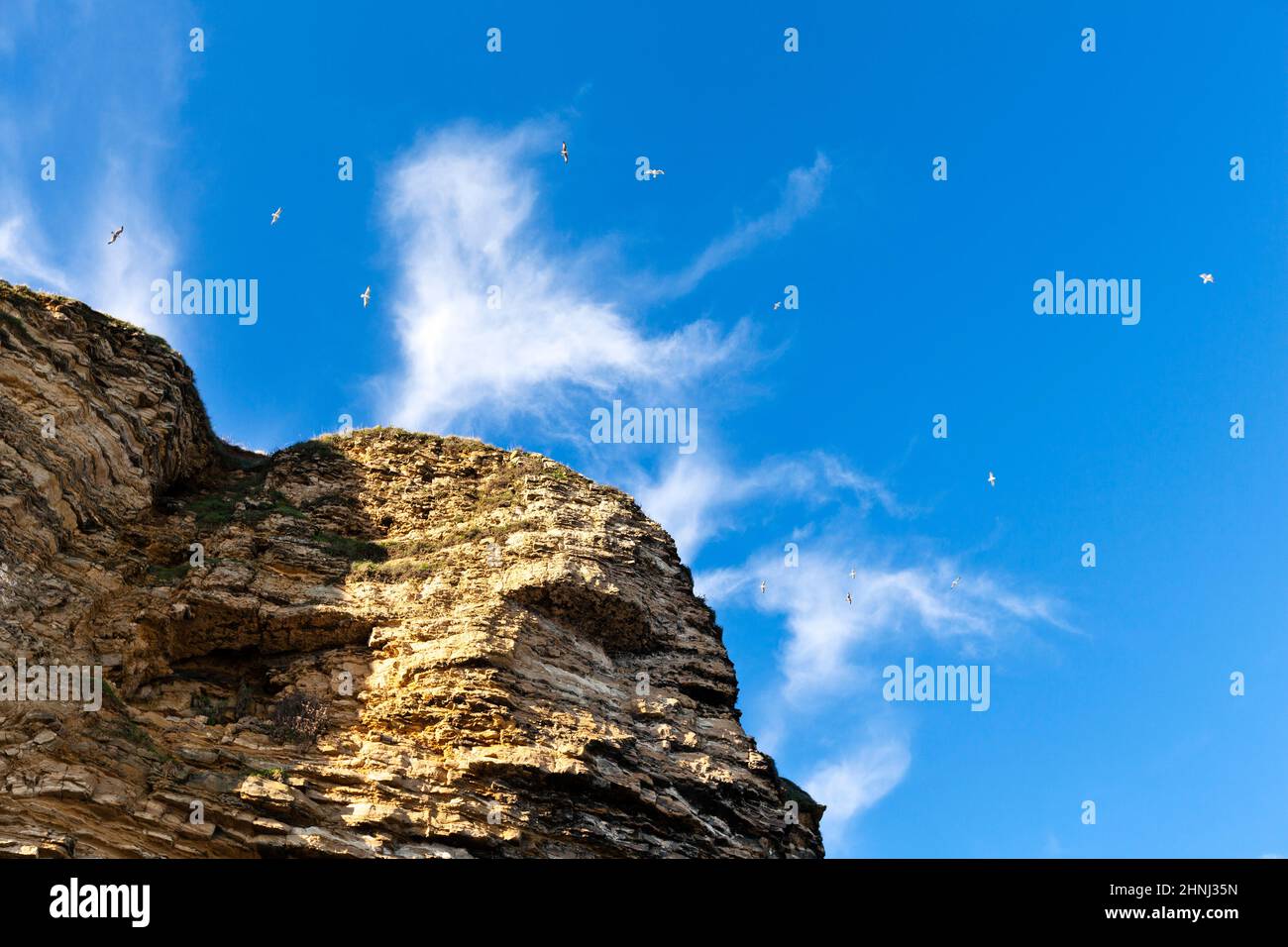 Seagulls fly over a cliff against a blue sky Stock Photo