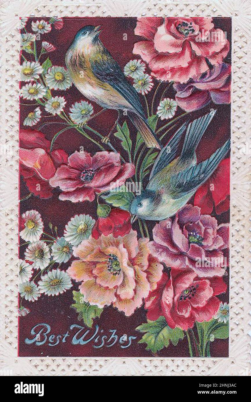 Vintage Victorian bird illustrations Stock Photo - Alamy