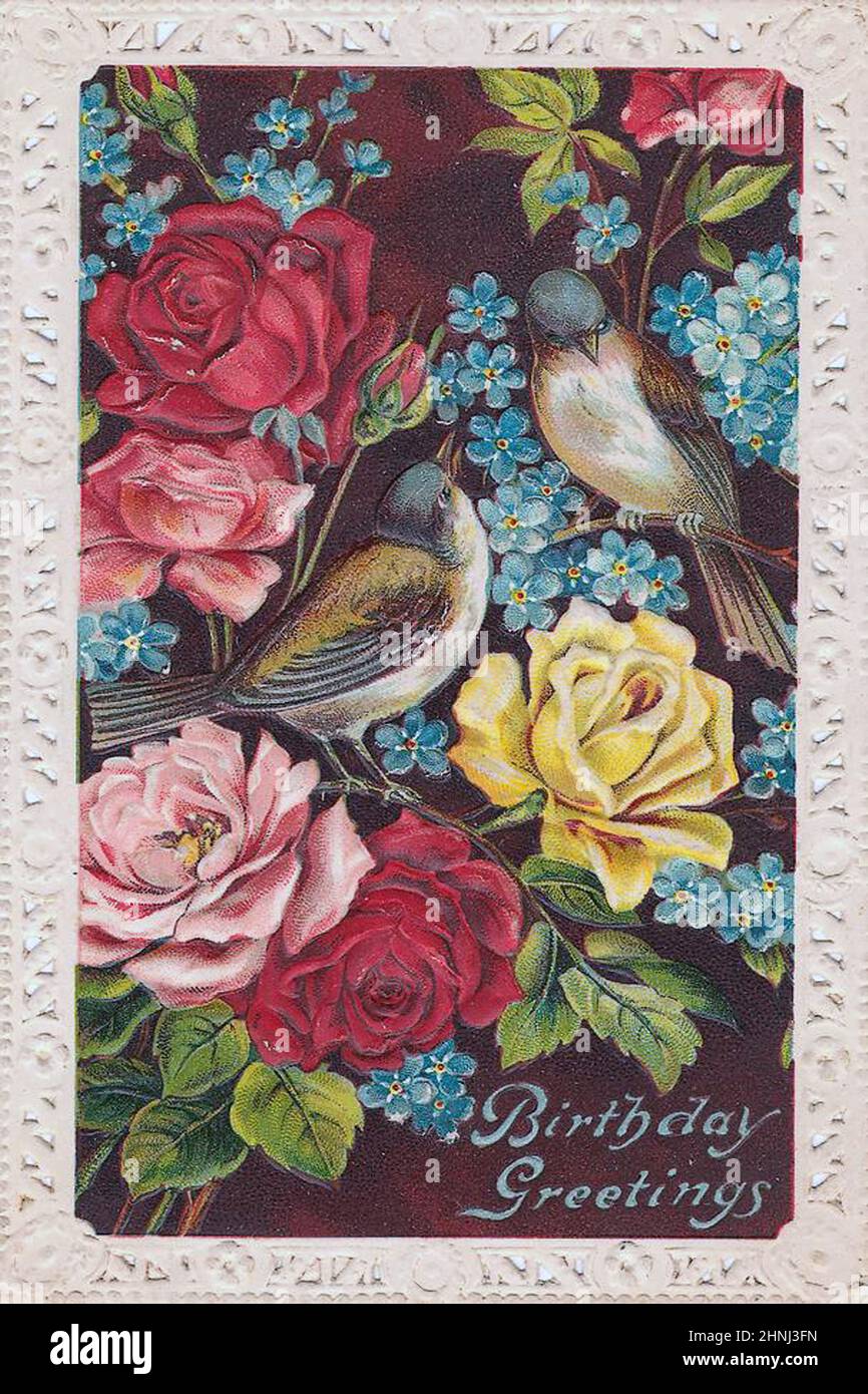 Vintage Victorian bird illustrations Stock Photo - Alamy