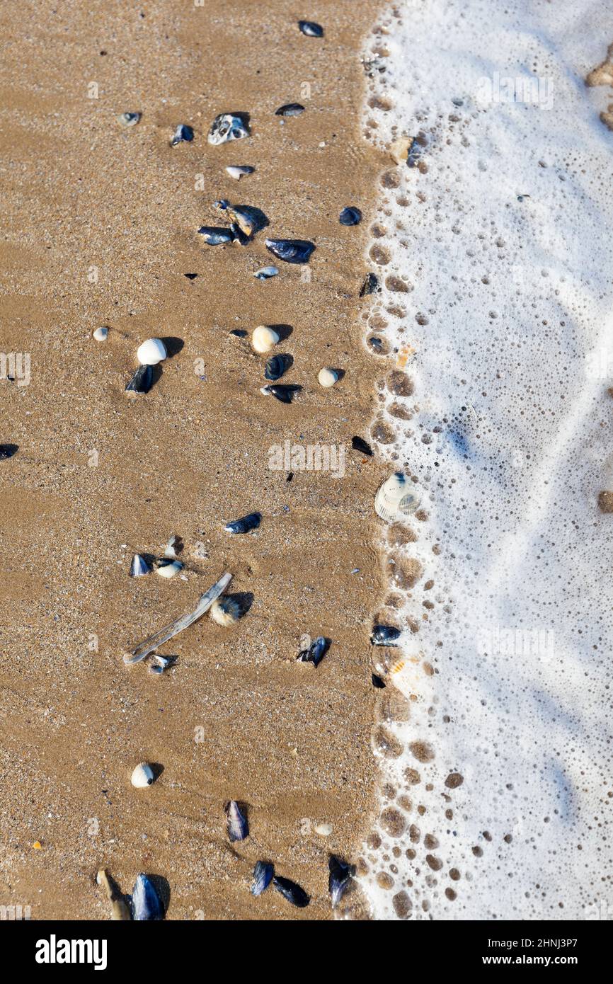 Foamy waves meet the sandy shore, Close up abstract view Stock Photo