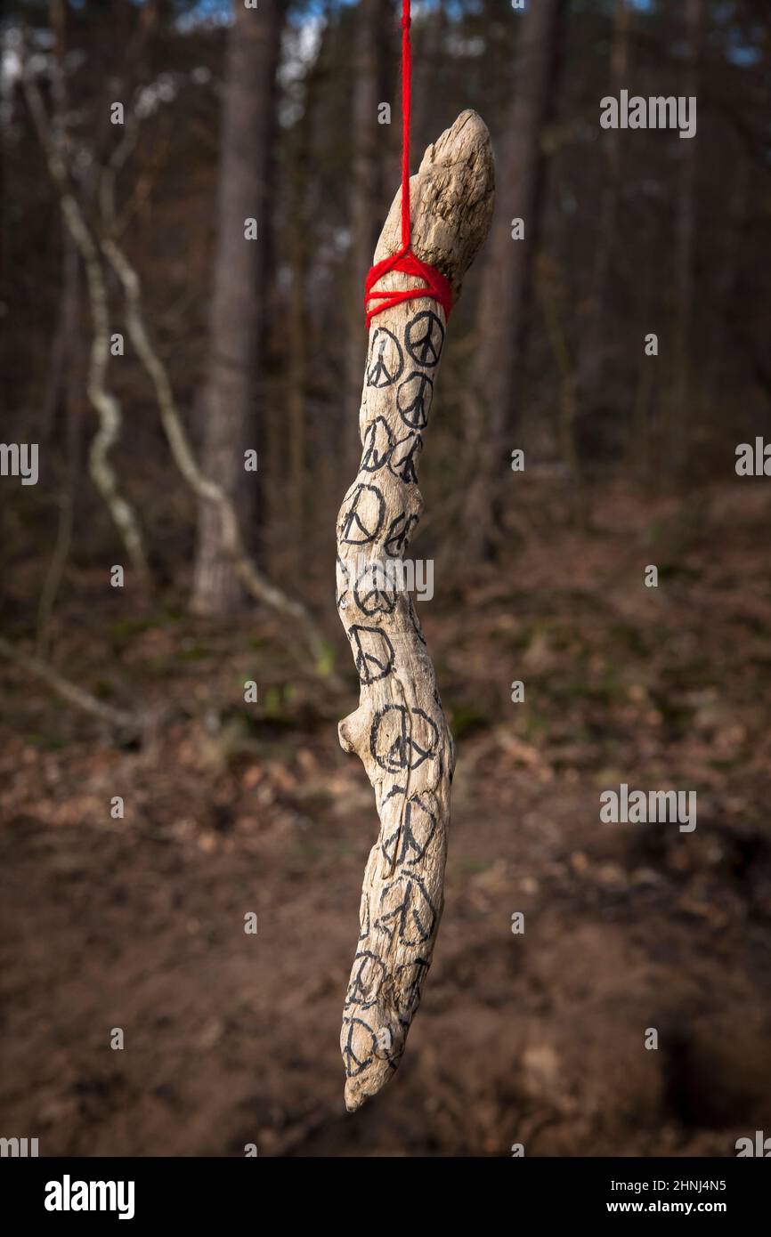 a dry piece of wood with peace signs hanging on a tree in the Wahner Heath on Fliegenberg hill, Troisdorf, North Rhine-Westphalia, Germany. ein trocke Stock Photo