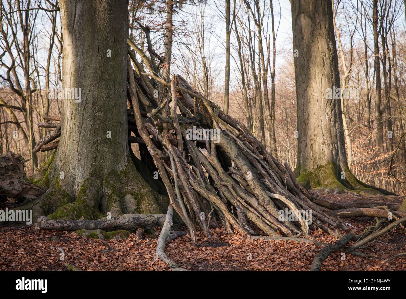 branch hut in the wood in the Ardey mountains near the city of Wetter, North Rhine-Westphalia, Germany. Asthuette im Wald im Ardeygebirge bei Wetter a Stock Photo