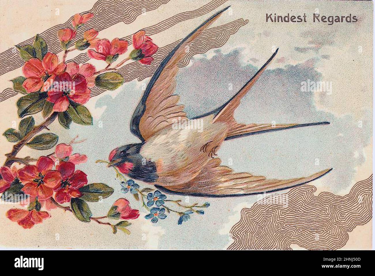 Vintage Victorian bird illustrations Stock Photo - Alamy