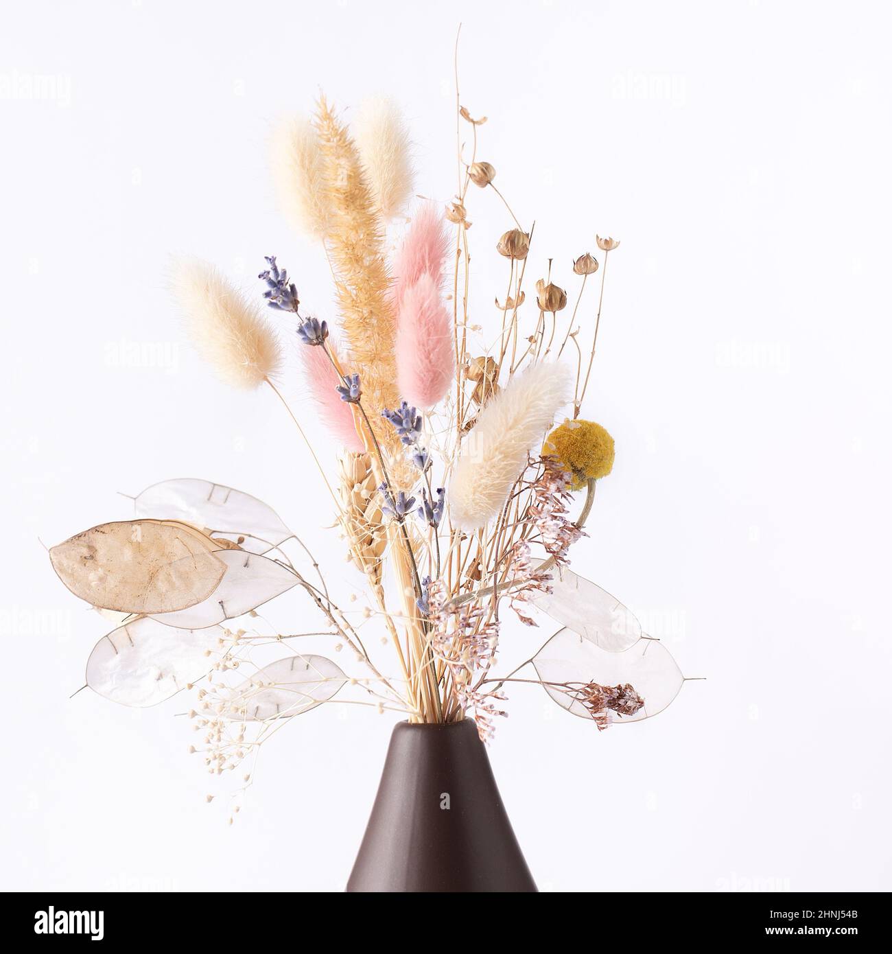 Dry flowers in a vase on a white background Stock Photo Alamy