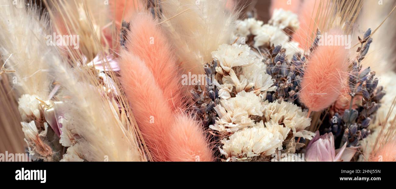 Dried flowers bouquet, banner Stock Photo - Alamy