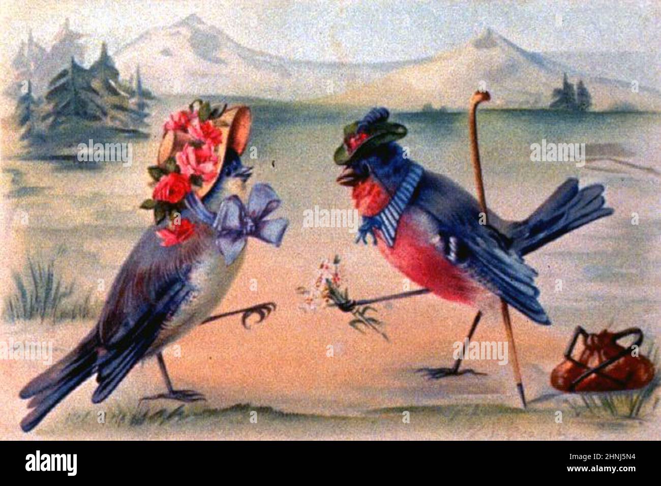 Vintage Victorian bird illustrations Stock Photo