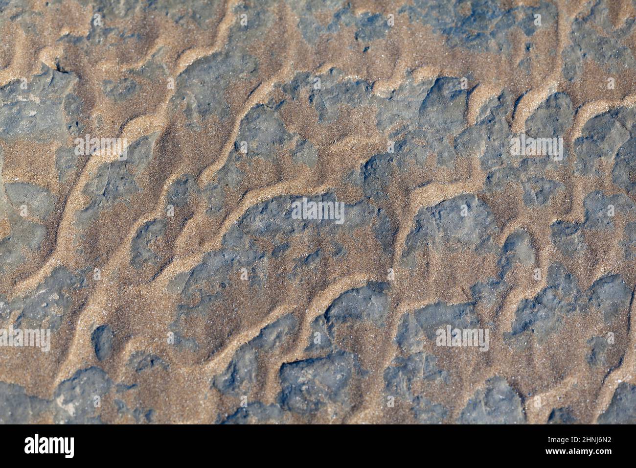 Wave Formed Ripple Marks with Sand on Stone on the Beach, Texture, Background, Normandy, France Stock Photo