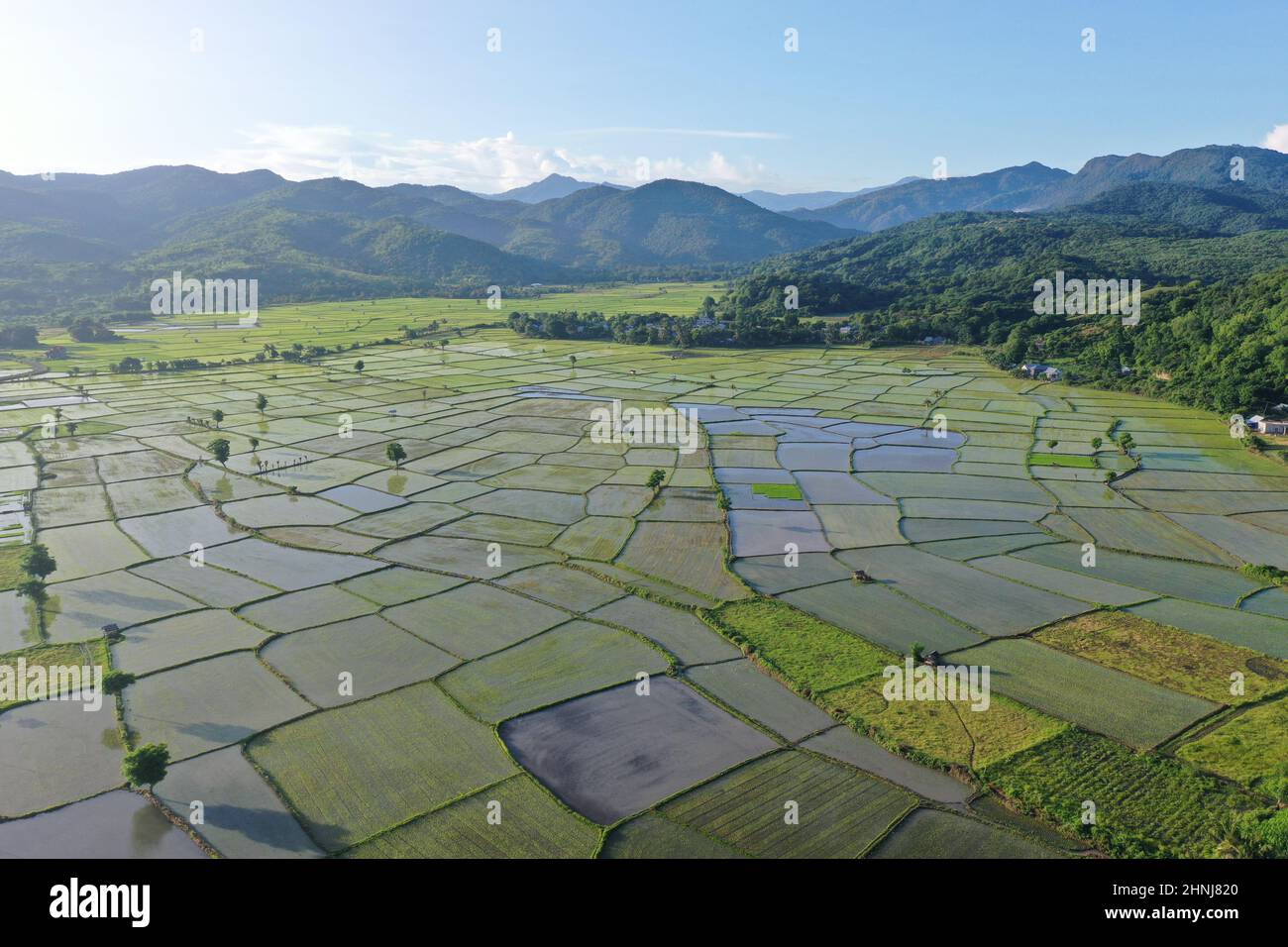 aerial view of rice fields using drone in Pota, Flores, Indonesia Stock