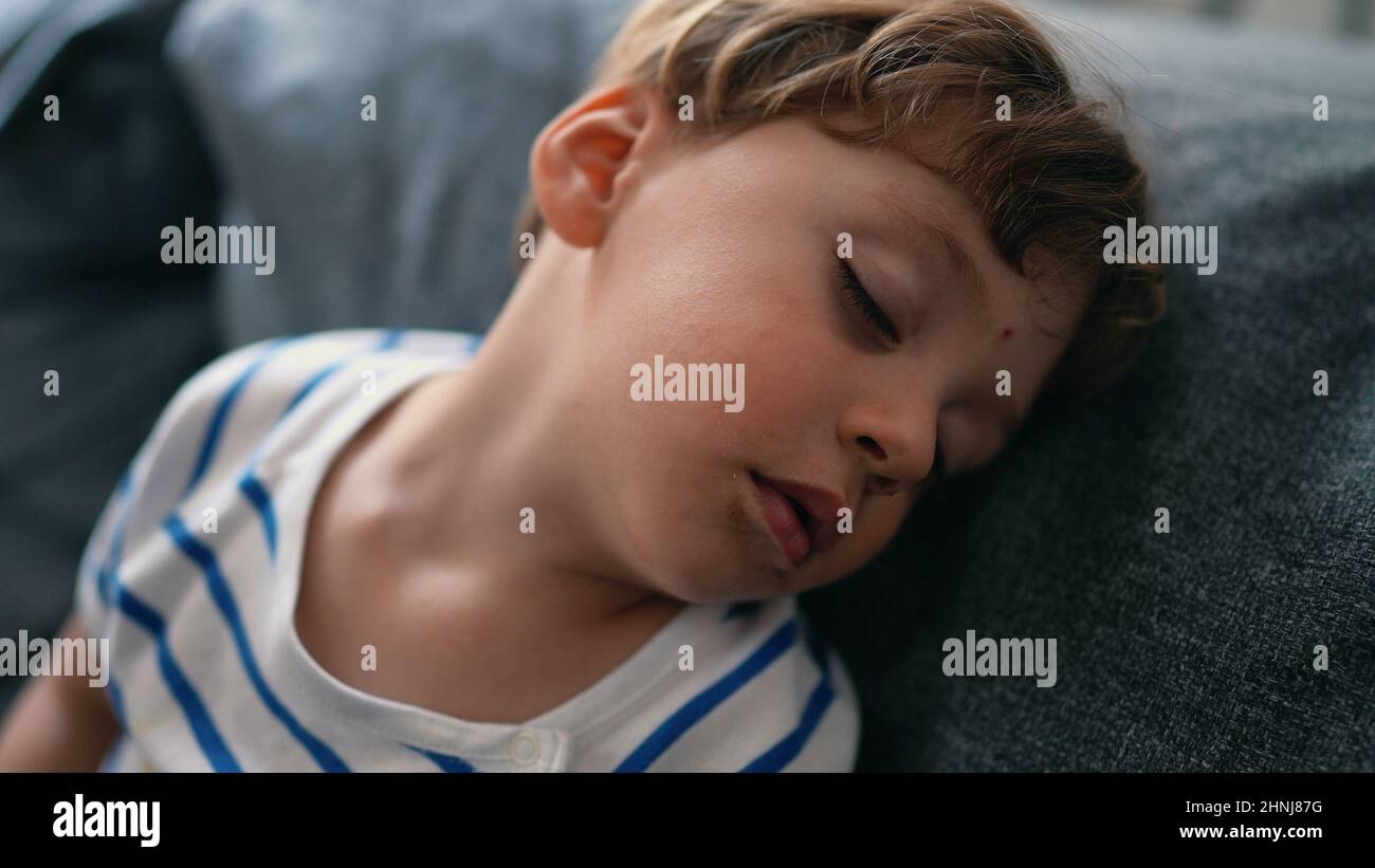 Two year old toddler sleeping child asleep napping on couch Stock Photo Alamy