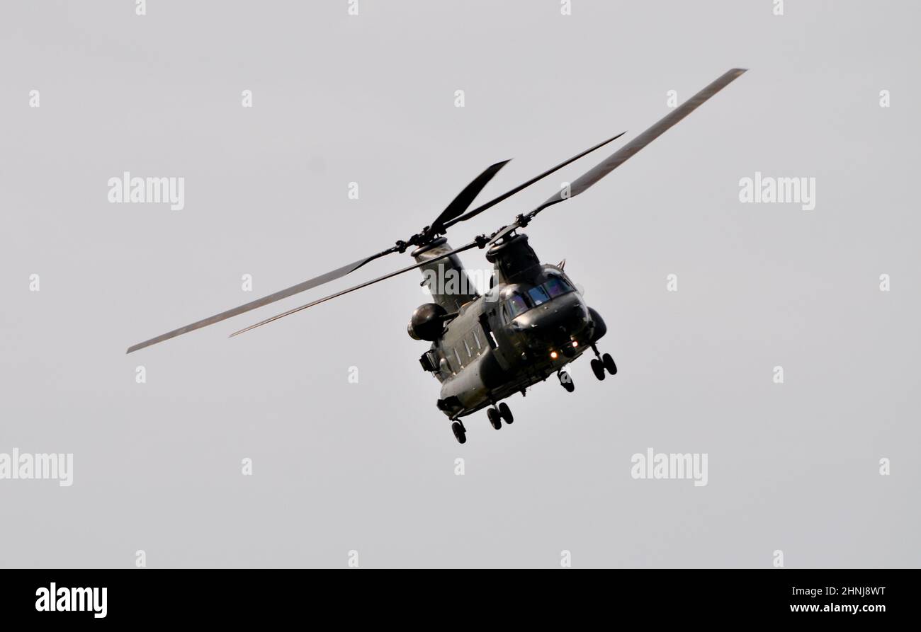 A Royal Air Force Chinook helicopter practising manoeuvres over fields in Aldbrough, East Yorkshire, England Stock Photo