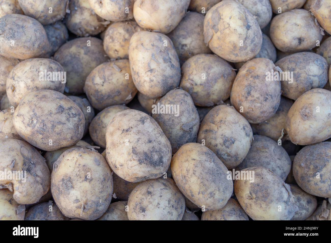 Potatoes, on a market stall in the UK. Stock Photo