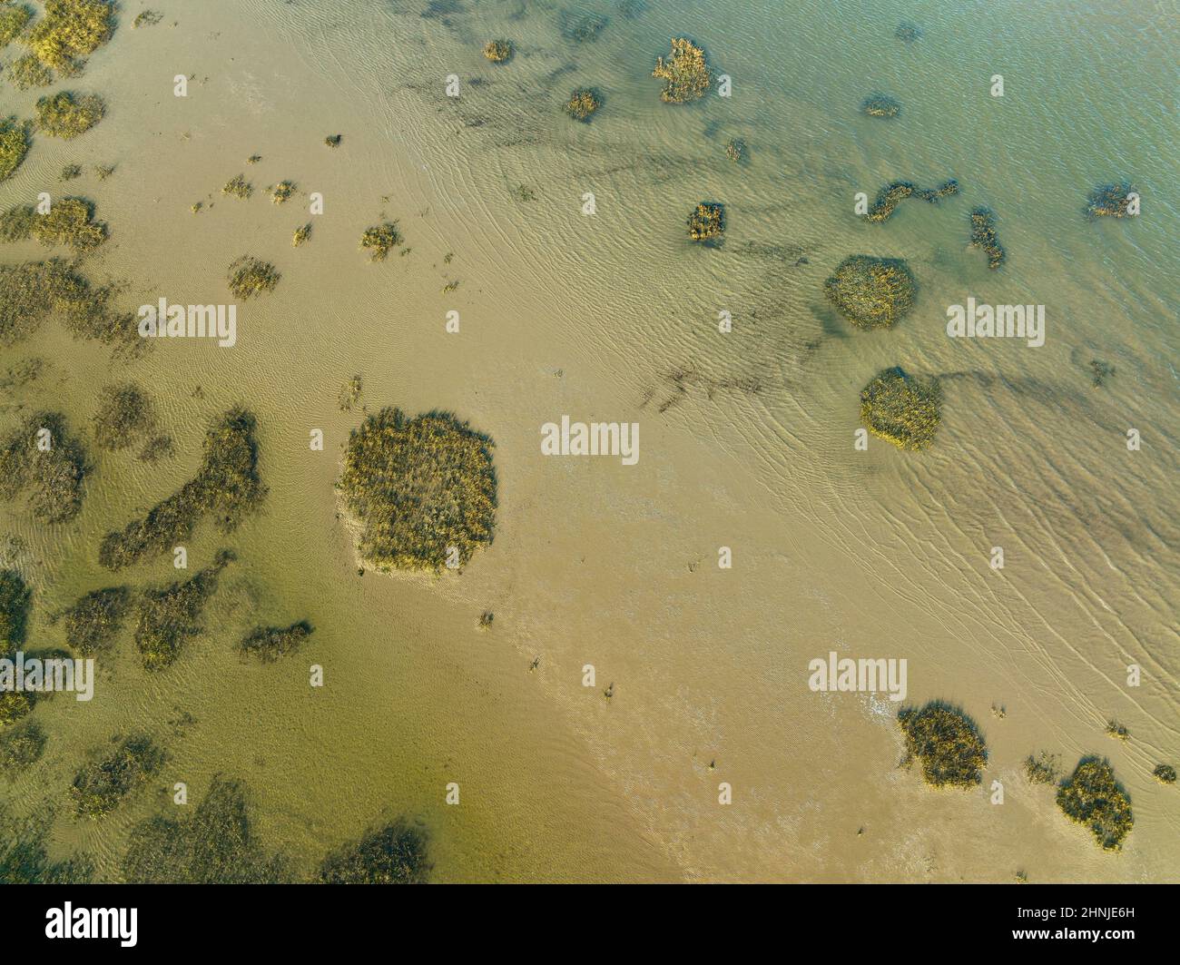 Aerial view of Salt Marshes in Normandy - Abstract top down view of the coastline Stock Photo
