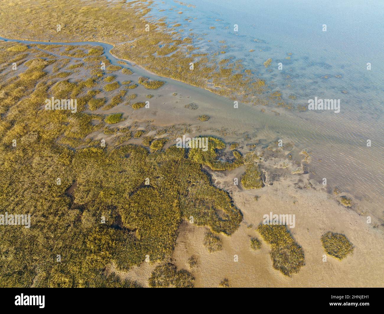 Aerial view of Salt Marshes in Normandy - Abstract top down view of the coastline Stock Photo