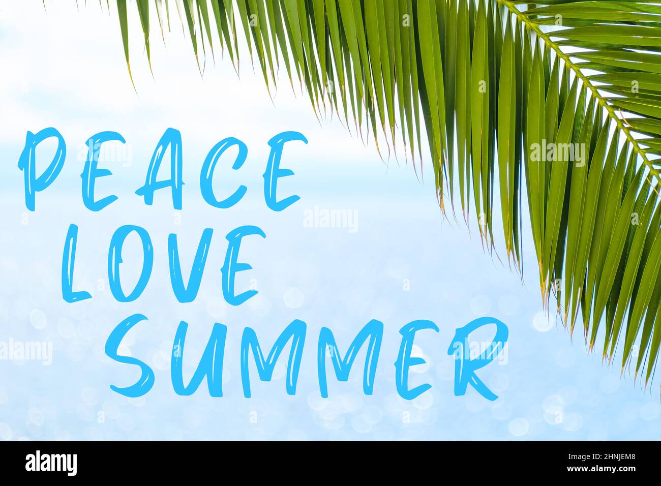 Peace love summer message written in elegant font on the background with palm leaf and blue sea. Holiday concept and advertising of tour agency.  Stock Photo