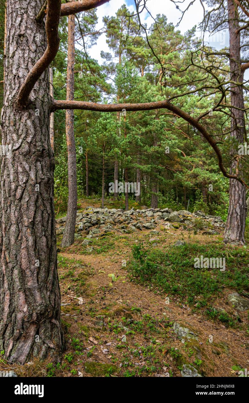 Cairn as evidence of a Bronze Age burial site in the forest area of Tisselskog Nature Reserve near Högsbyn, Dalsland, Västra Götalands län, Sweden. Stock Photo