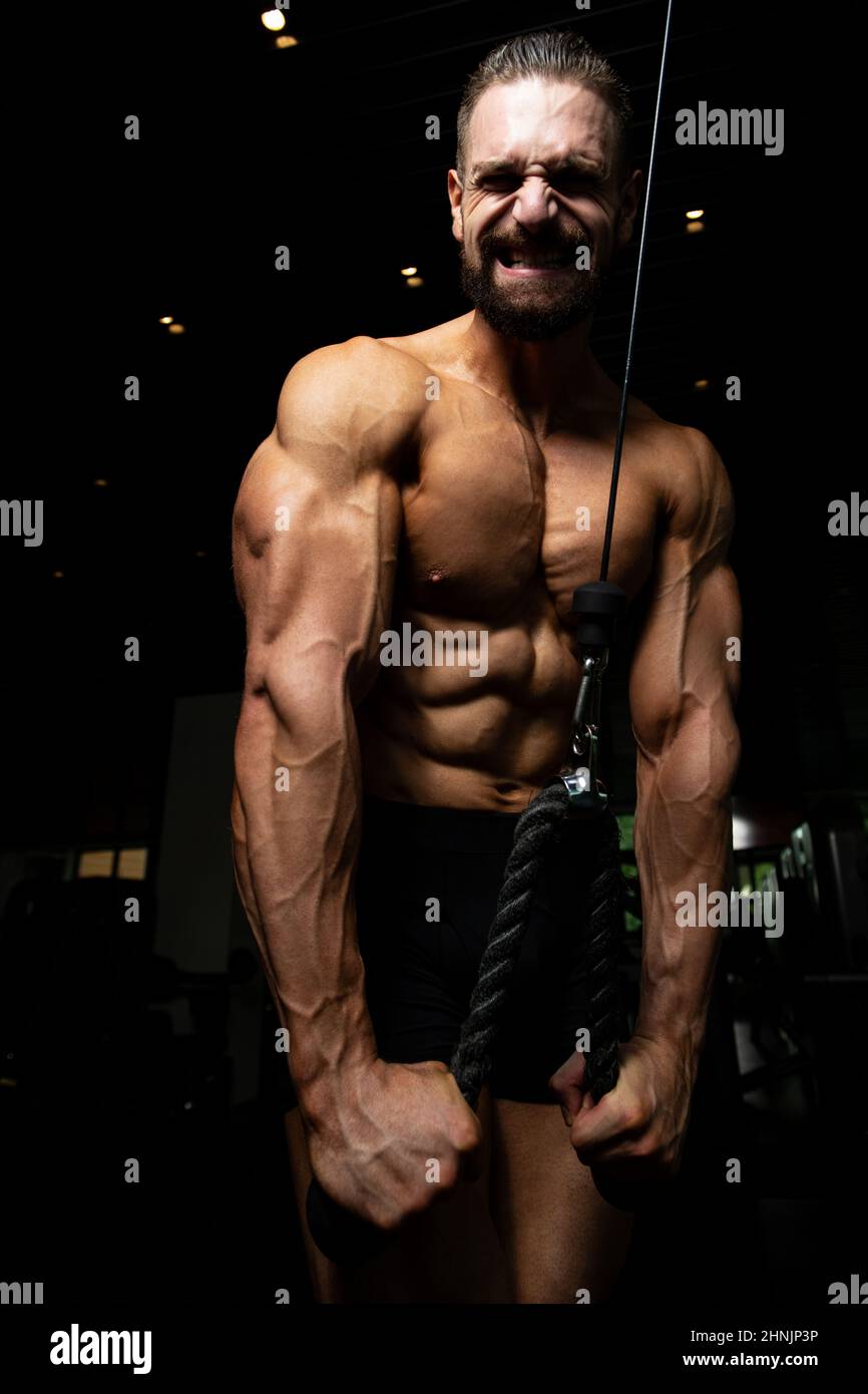 Man Exercising Triceps In The Gym Stock Photo