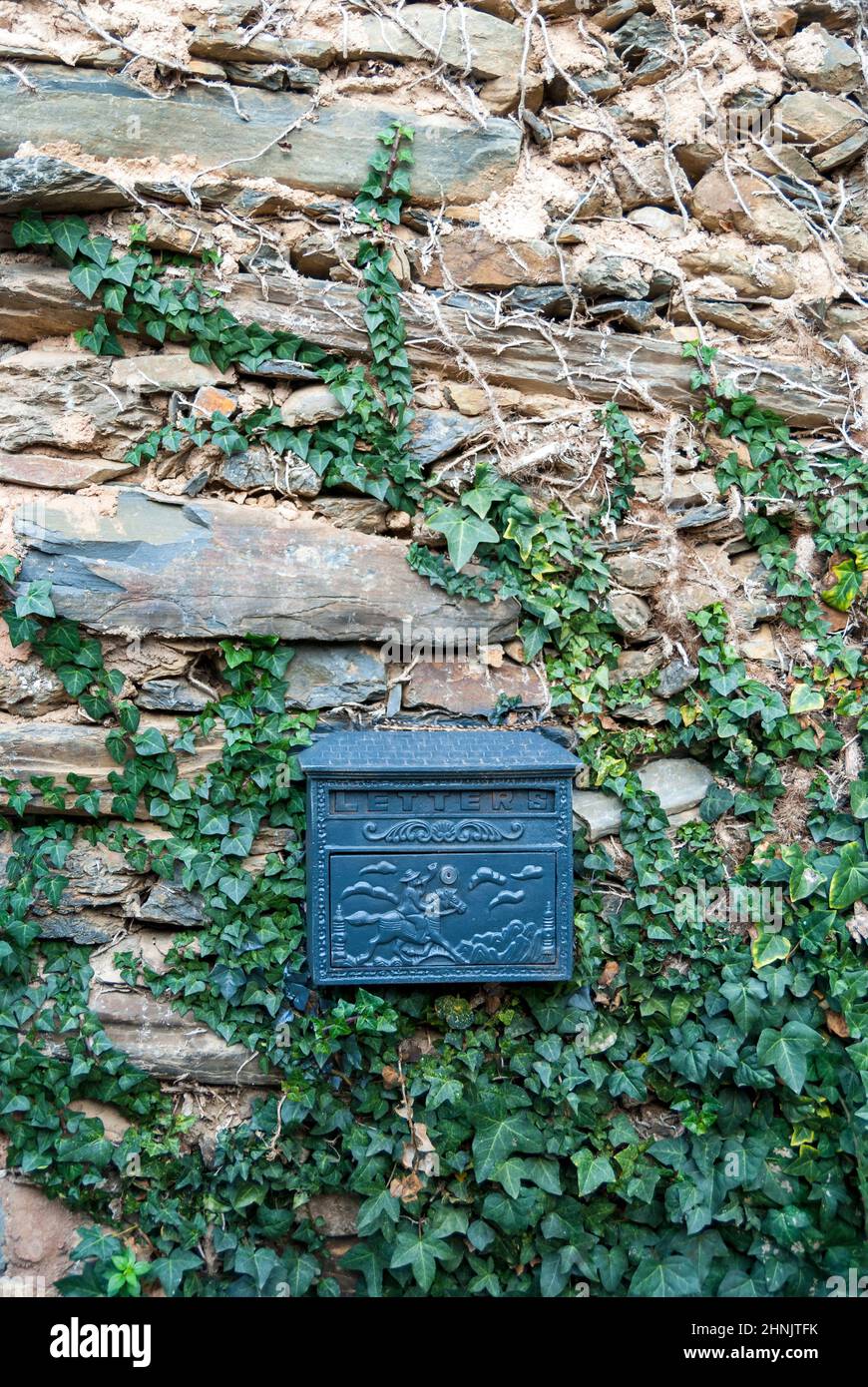 Old black post box on slate stone wall with creeper climbing plant and ...