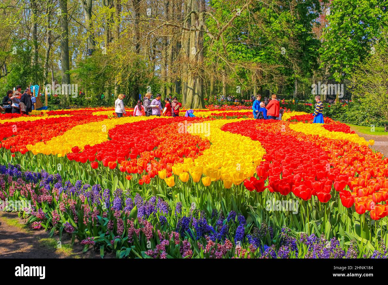Many colorful tulips daffodils in Keukenhof park Lisse Holland Netherlands. Stock Photo