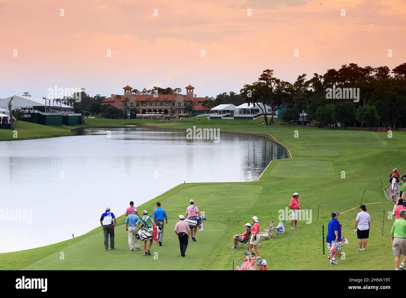Sawgrass hi-res stock photography and images - Alamy