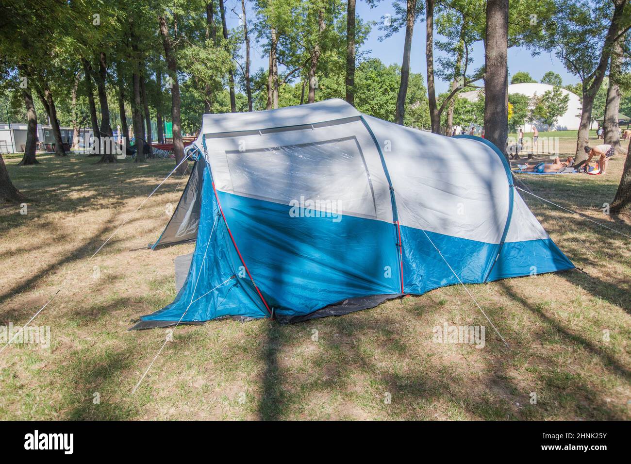 Camping tent at wild campsite surrounding the pine forest on summer daylight Stock Photo