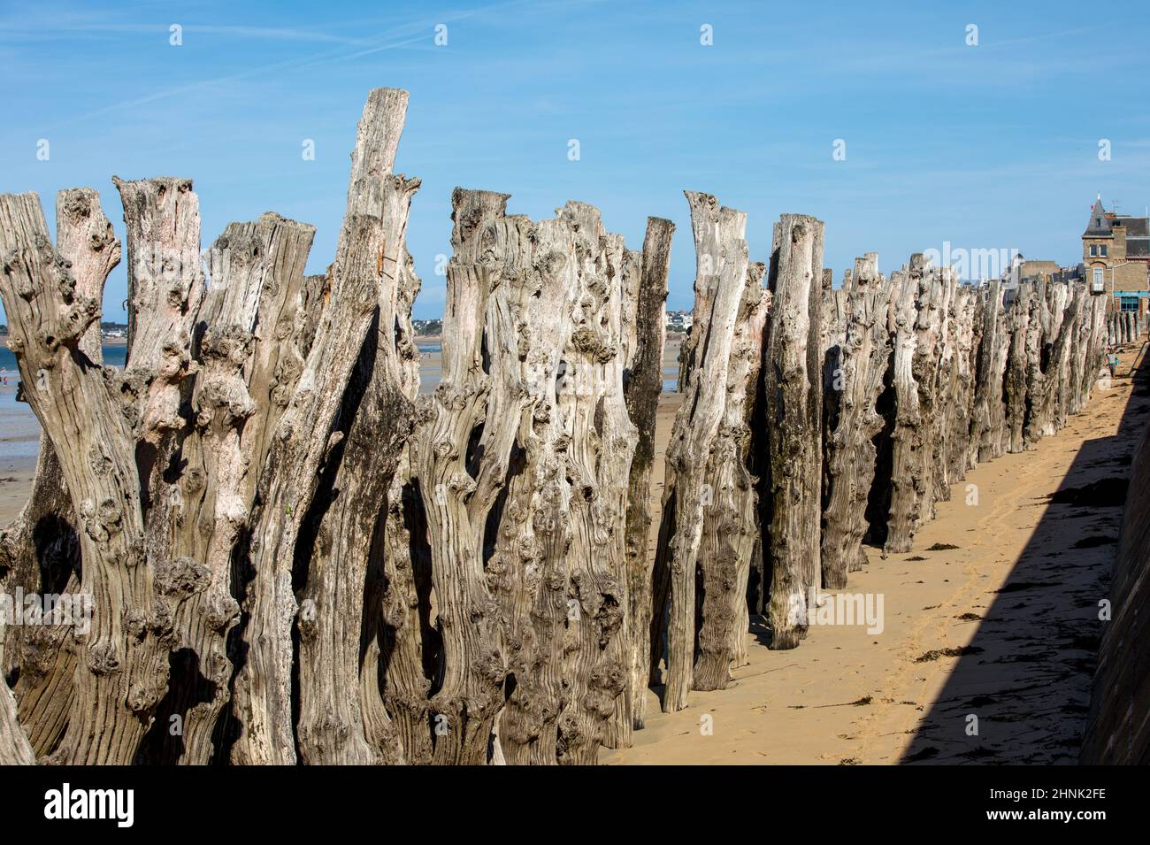 Big breakwater, 3000 trunks to defend the city from the tides  in Saint-Malo, Ille-et-Vilaine, Brittany, France Stock Photo