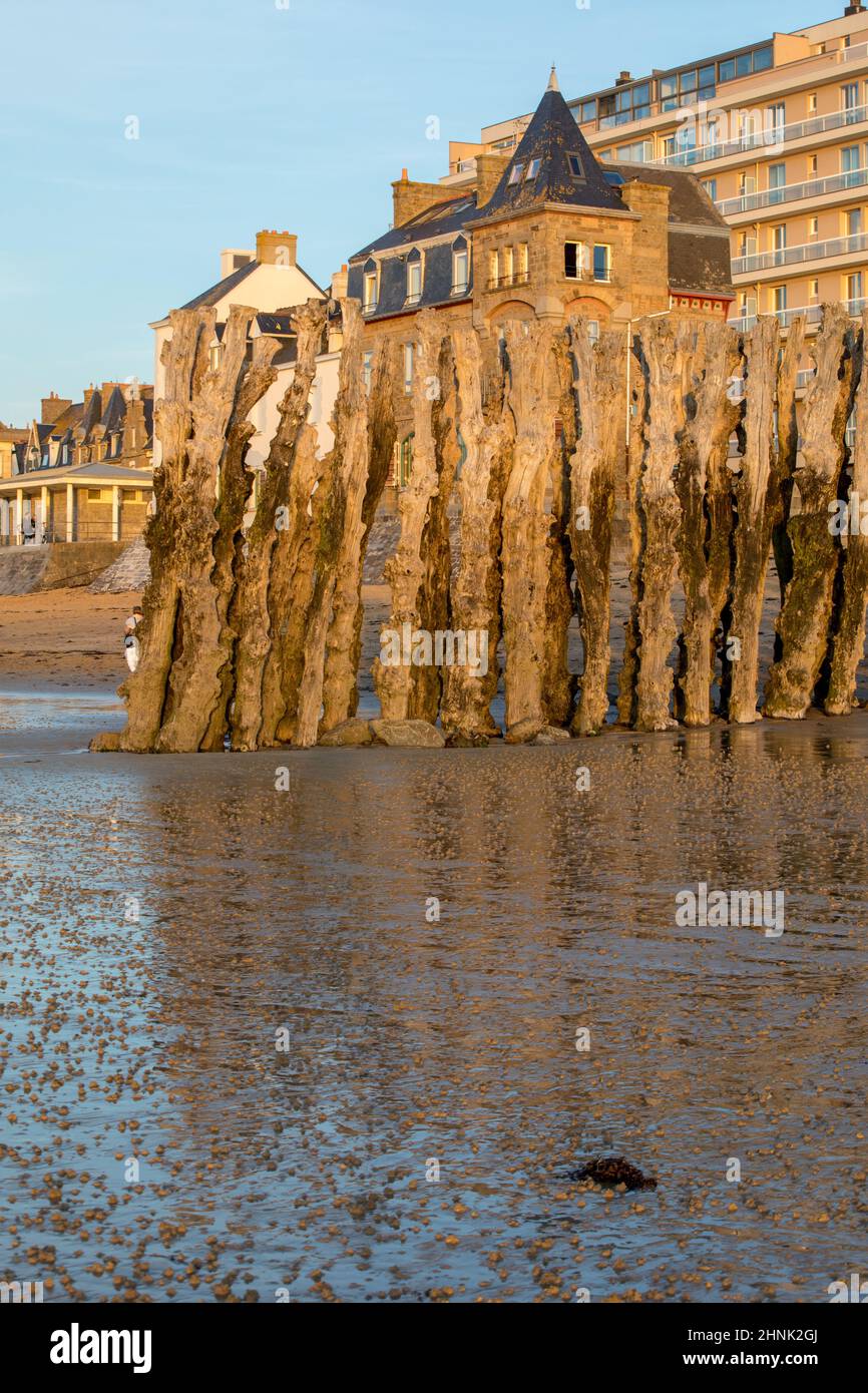 Big breakwater and beach in Saint Malo, 3000 trunks to defend the city from the tides, Ille-et-Vilaine, Brittany, France Stock Photo