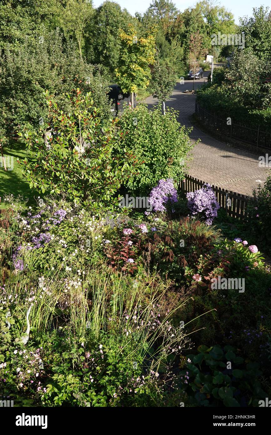 Vorgarten mit bunten Blumen und Gartenteich, Gegenentwurf zum öden Schottergarten Stock Photo